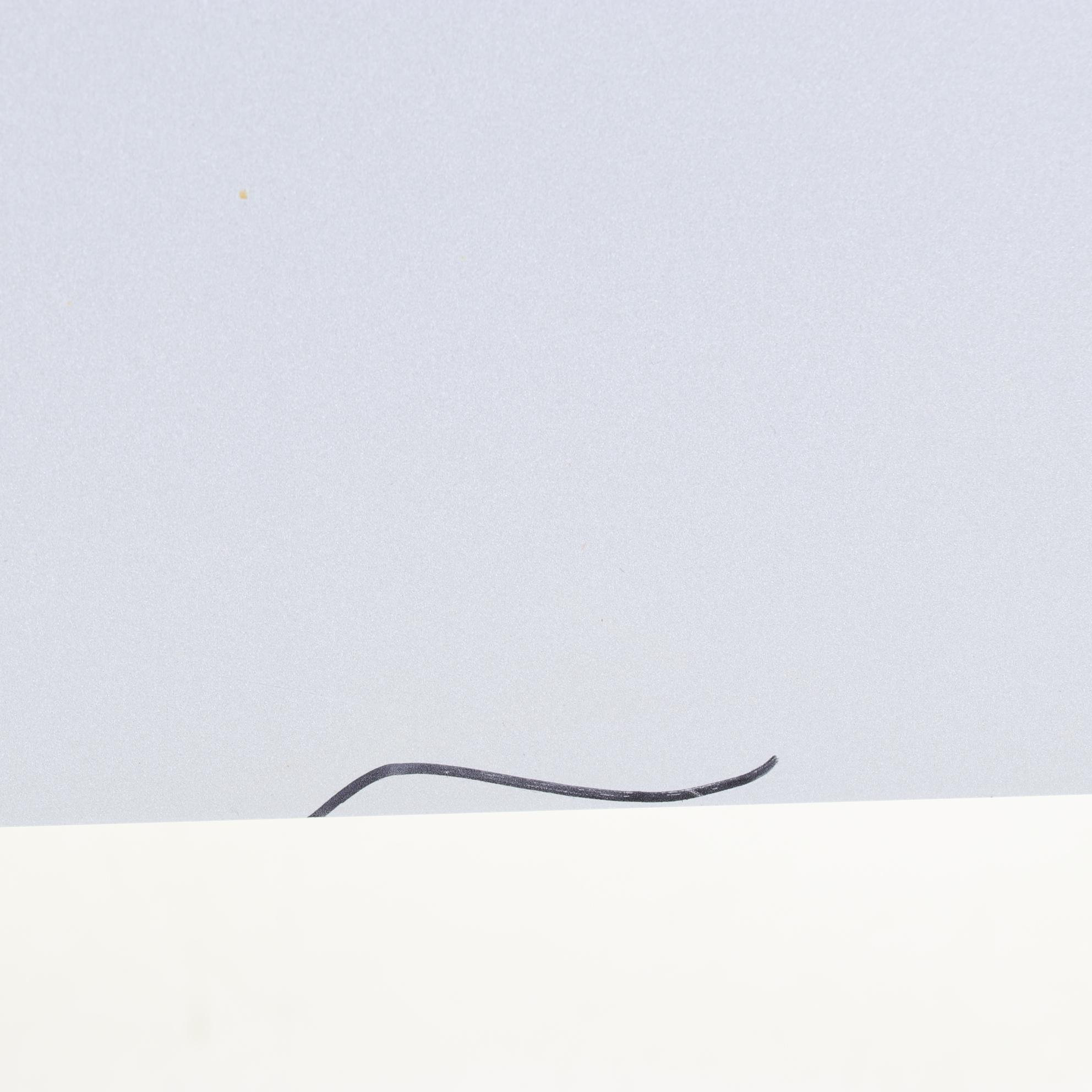 20" Apple iMac "Core 2 Duo" Aluminum Desktop Computer, 2007-2008