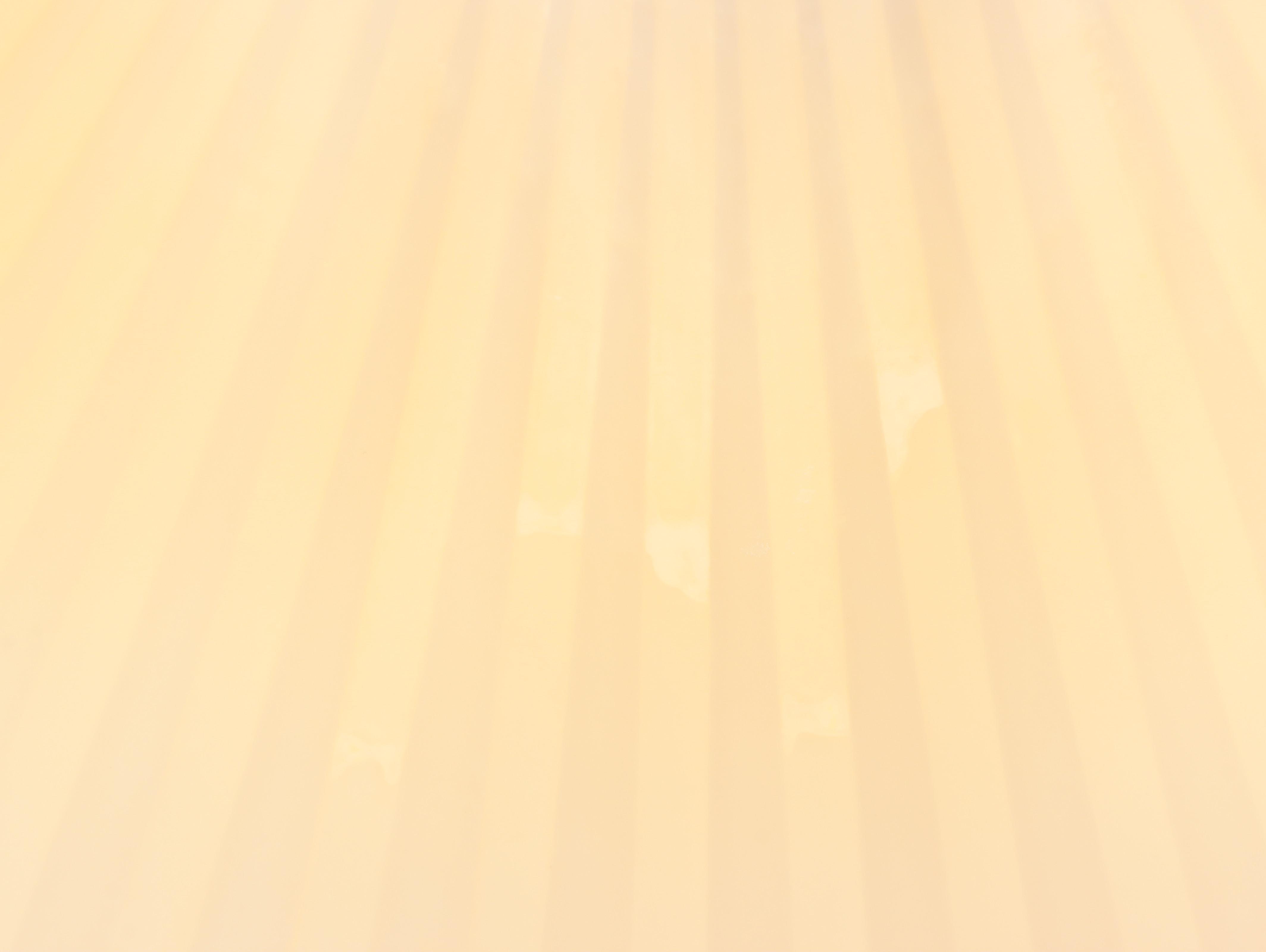 Wescal Floral Motif and Bird Motif Ceramic Table Lamp