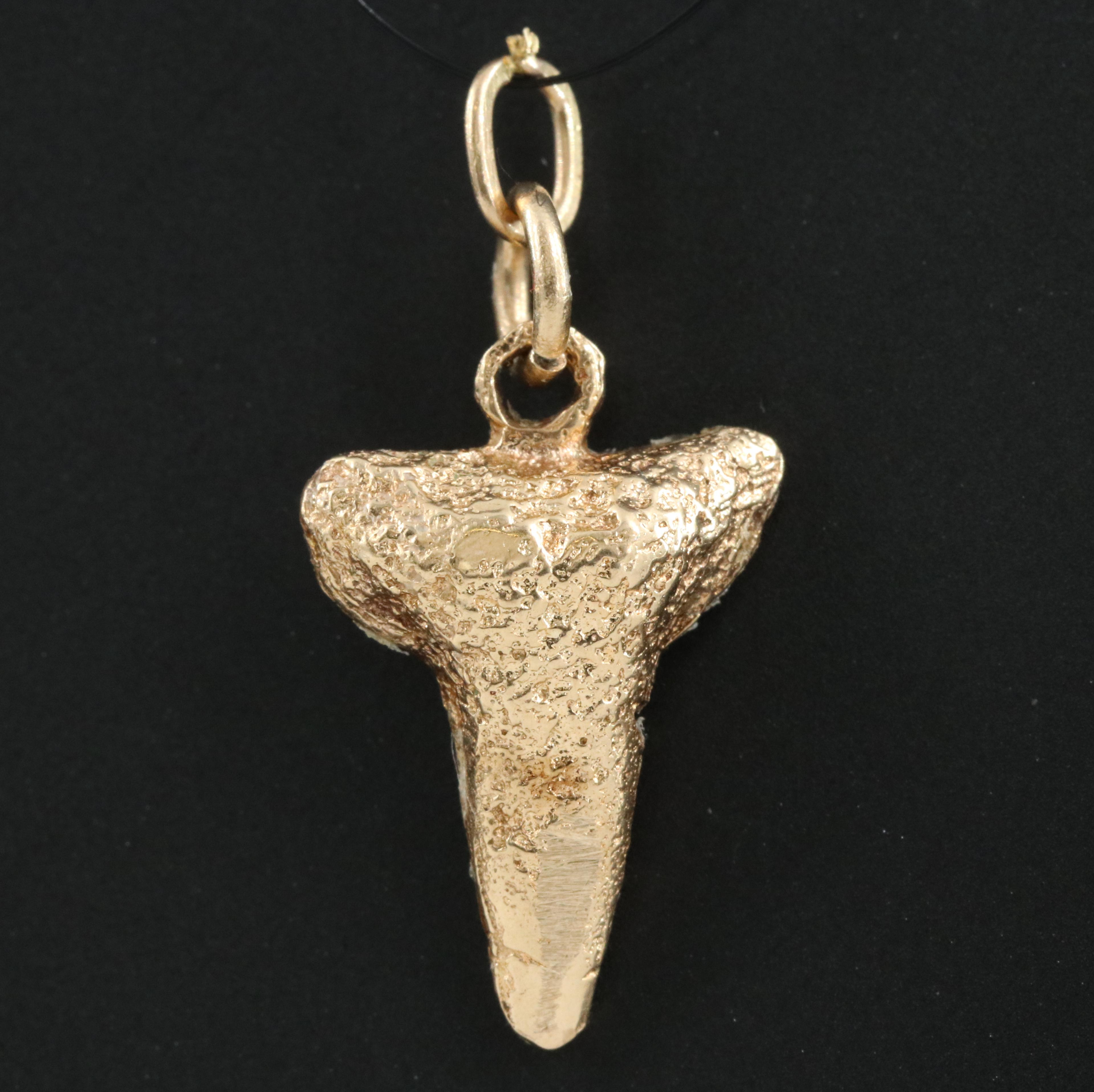 14K Shark Tooth Pendant
