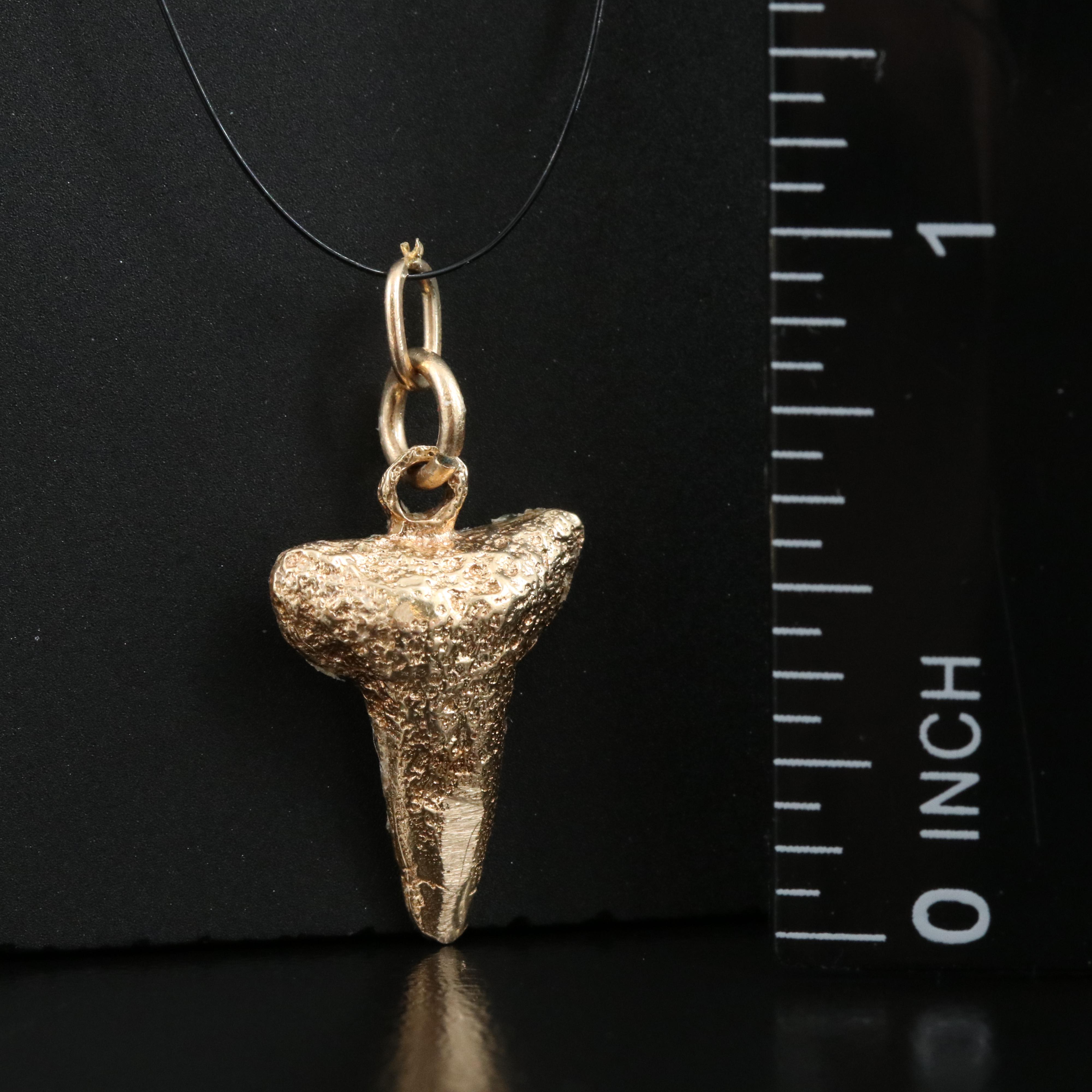 14K Shark Tooth Pendant