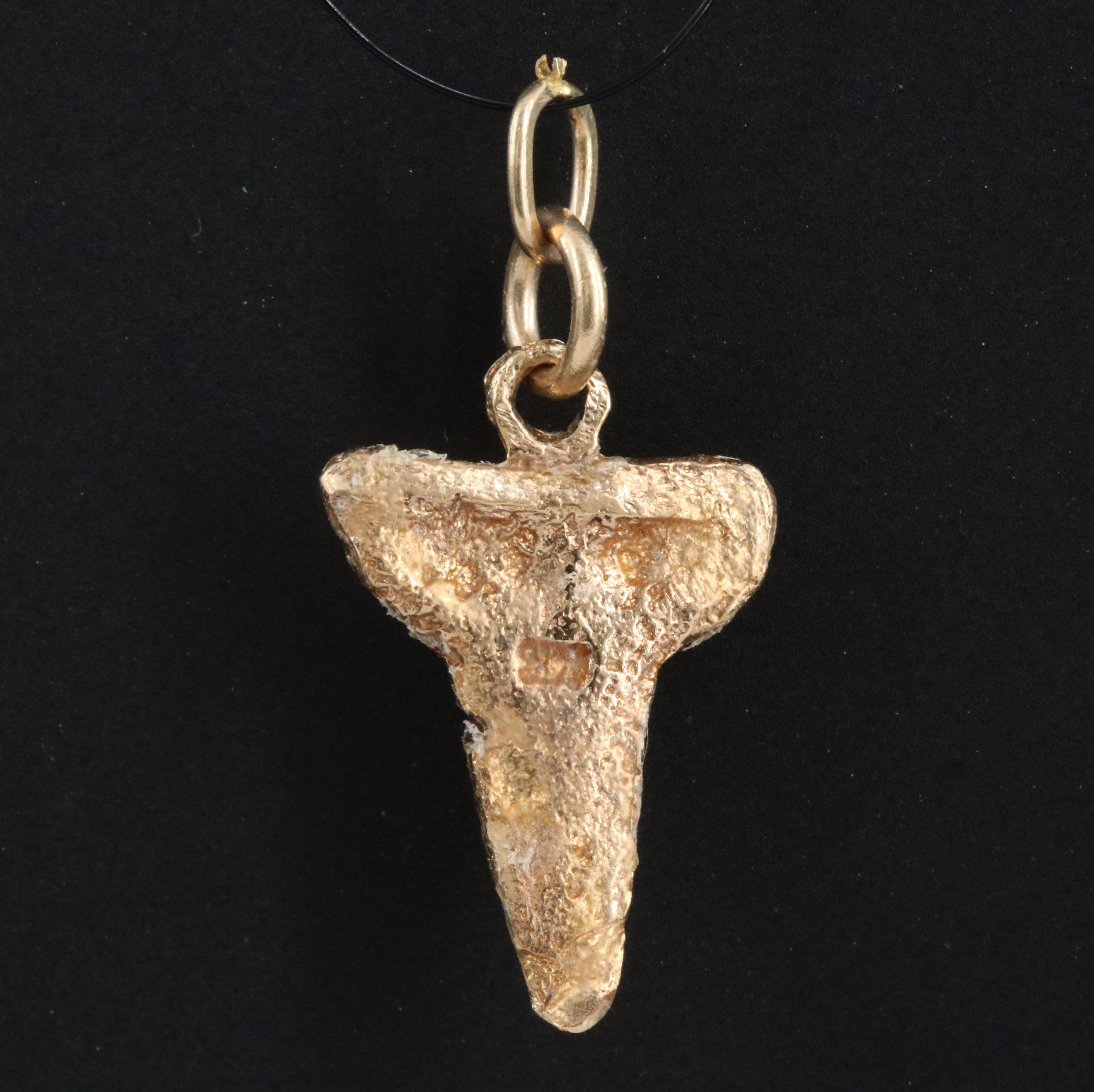 14K Shark Tooth Pendant