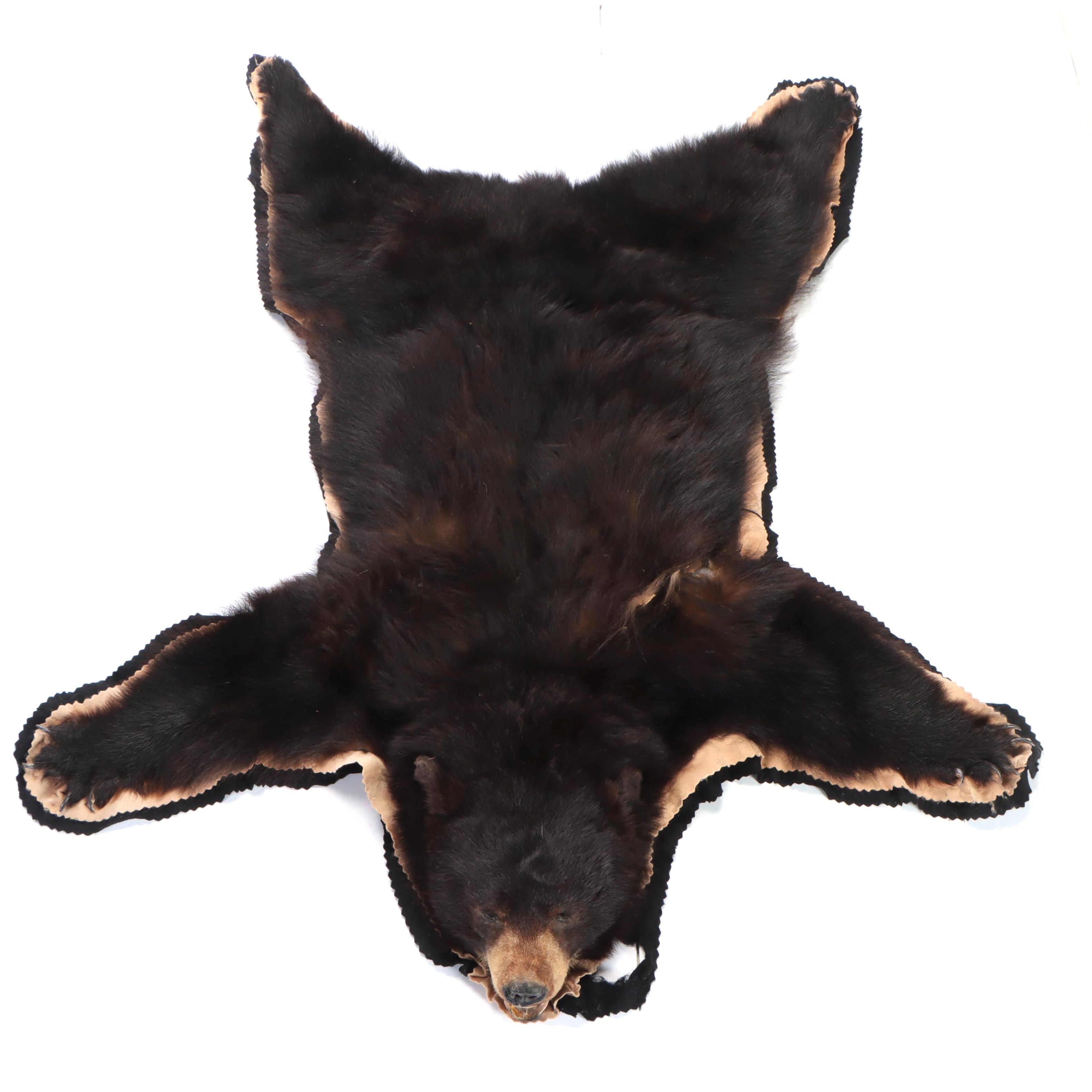 Taxidermy Black Bear Full Body Rug