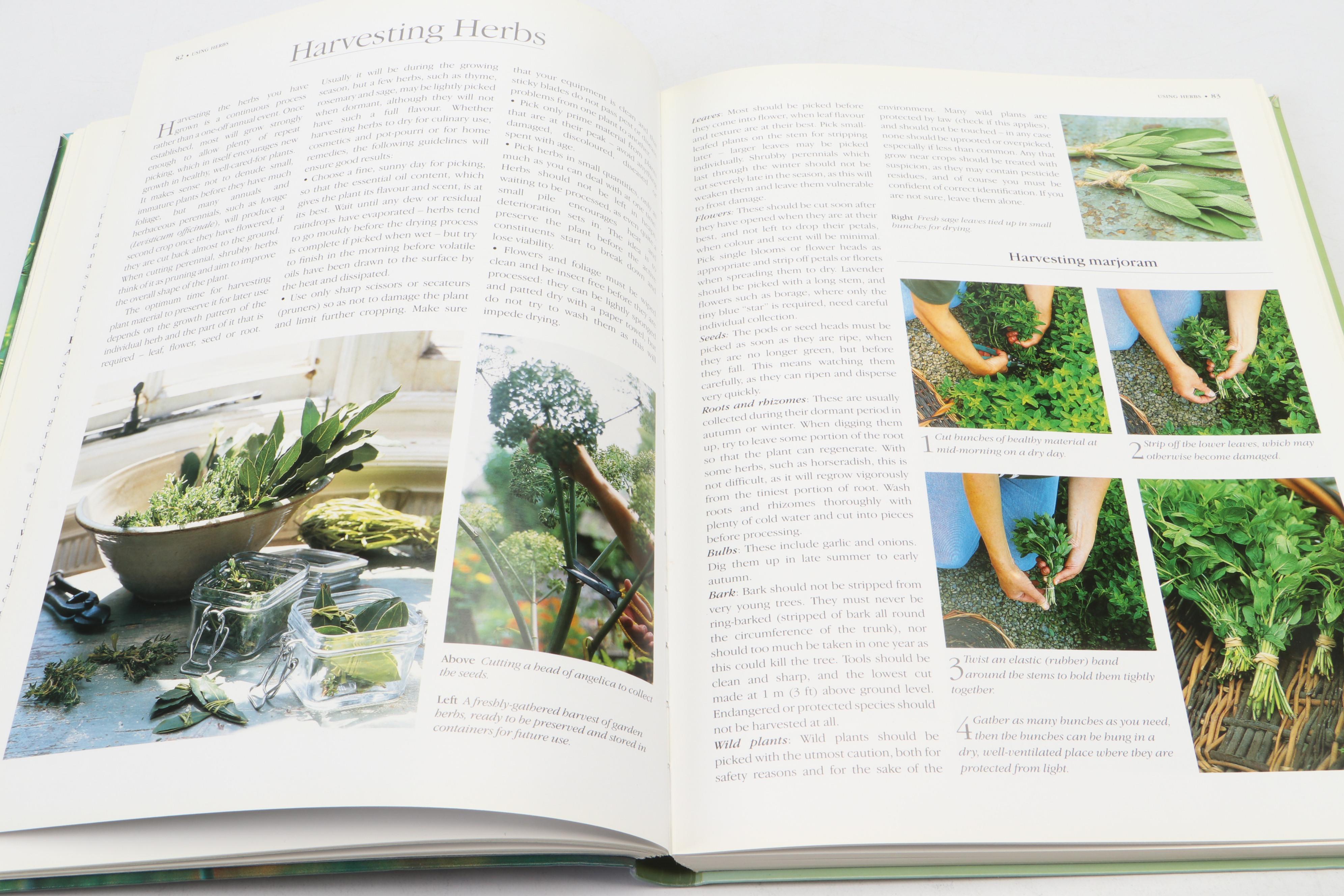 "Practical Herb Garden" by Jessica Houdret and More Nature Identification Books