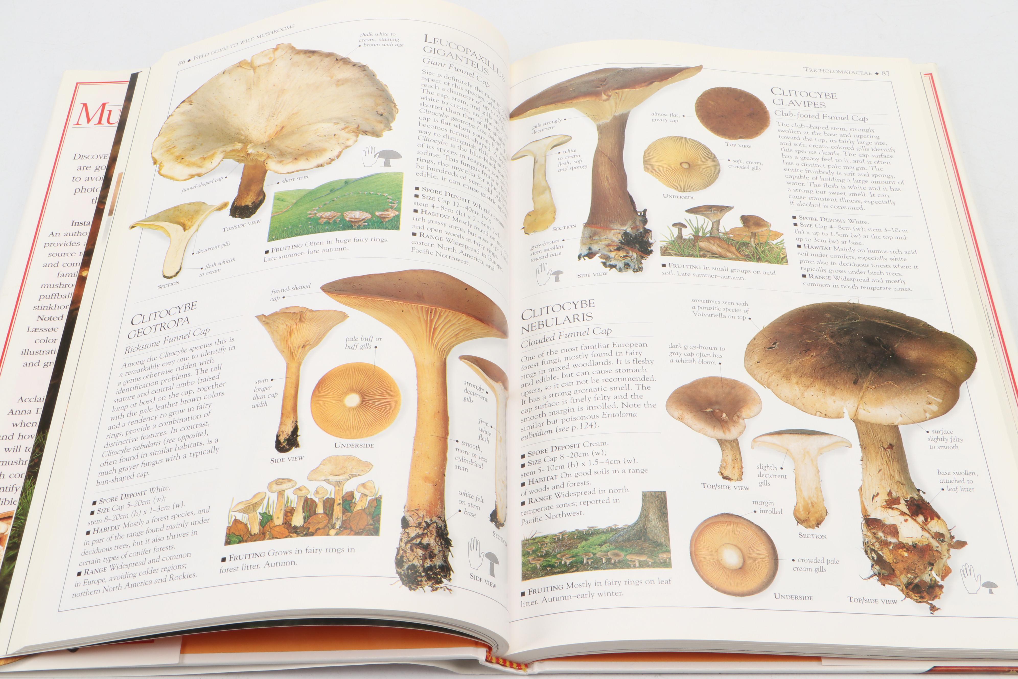 "Practical Herb Garden" by Jessica Houdret and More Nature Identification Books