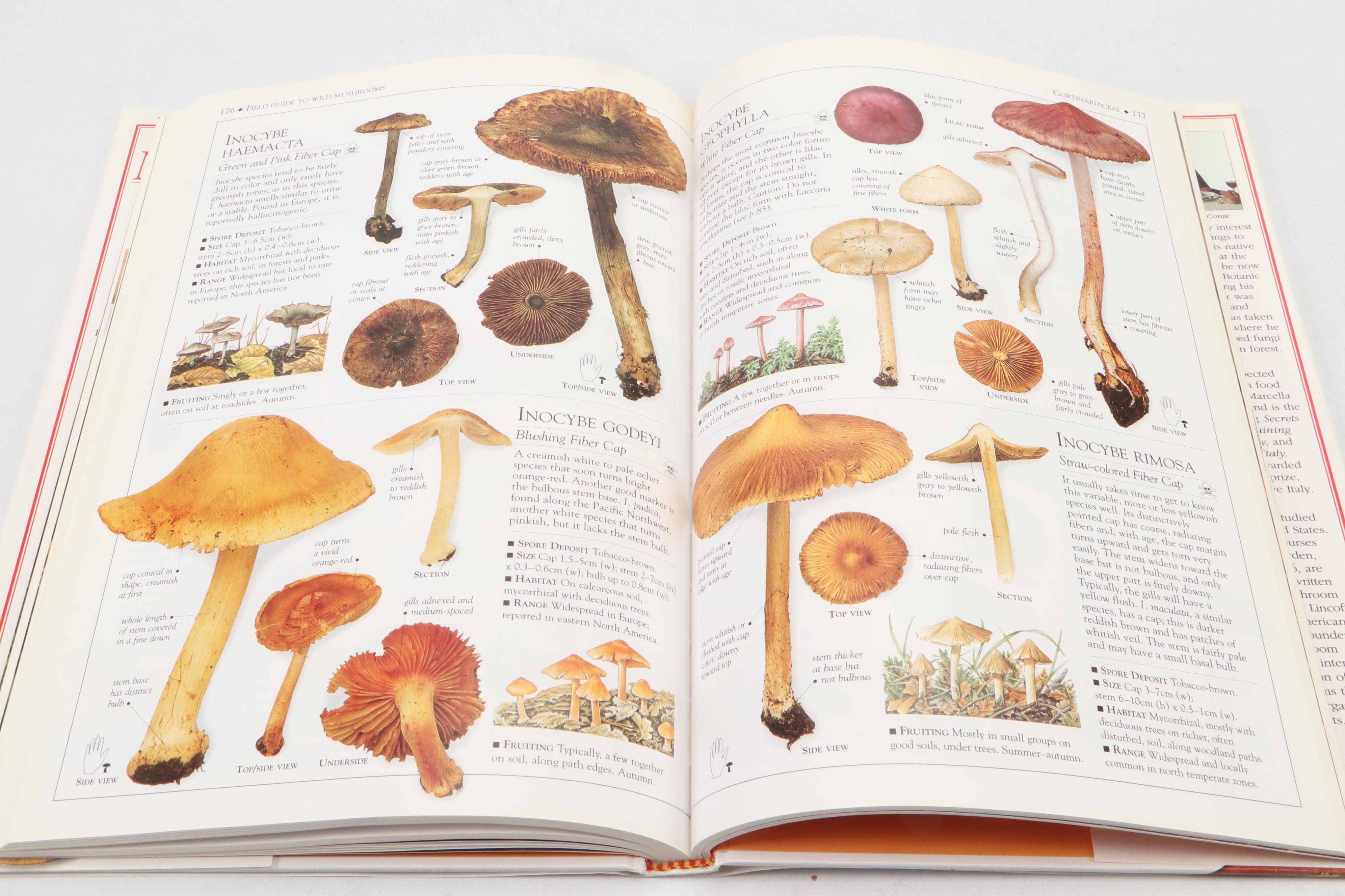 "Practical Herb Garden" by Jessica Houdret and More Nature Identification Books