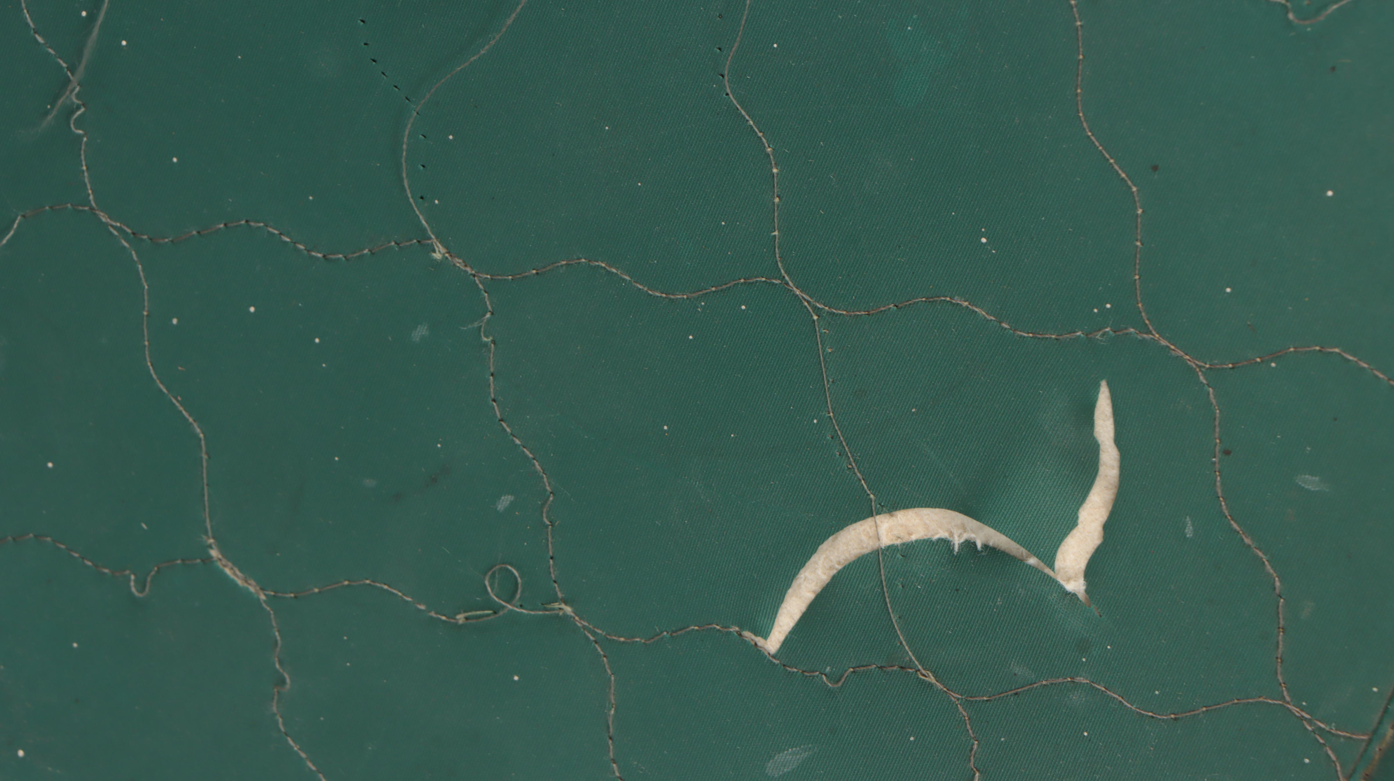 Panda Cardboard Hat Box with Other Hat Boxes