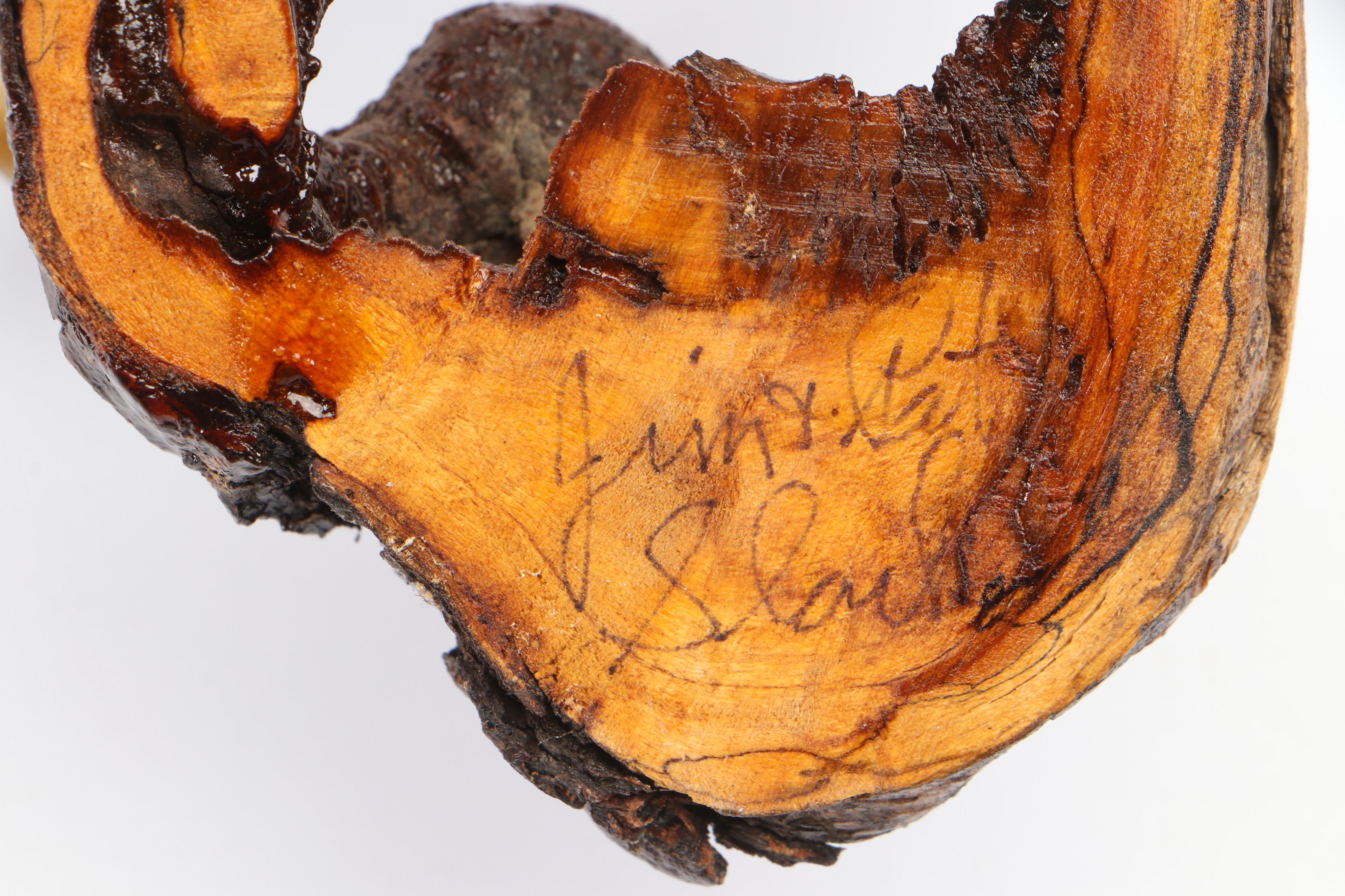 Jim & Pat Slack Hand-Painted and Carved Downy Woodpecker With Tree Knot