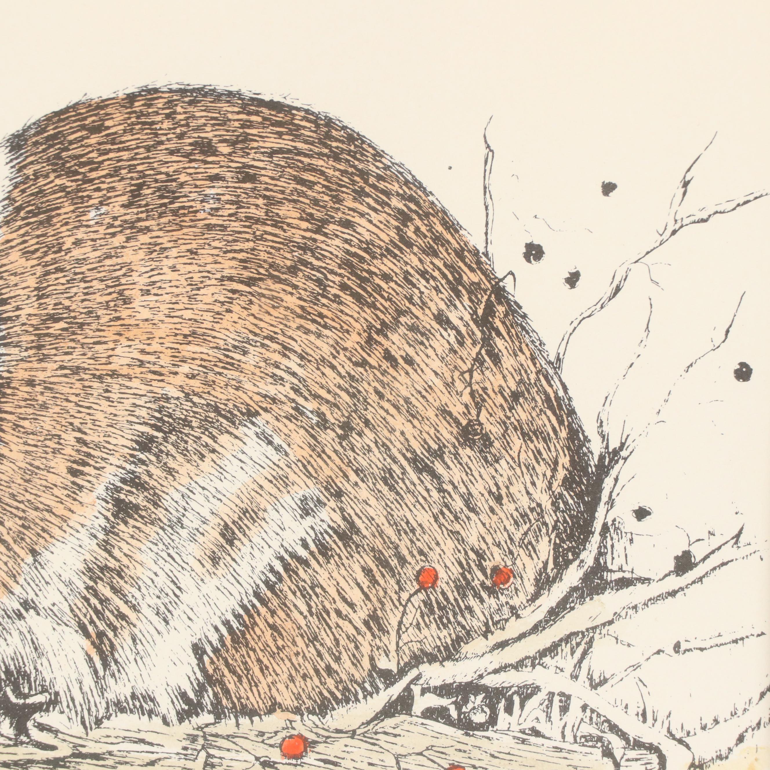 Hand-Colored Lithograph of Hare, Circa 1960