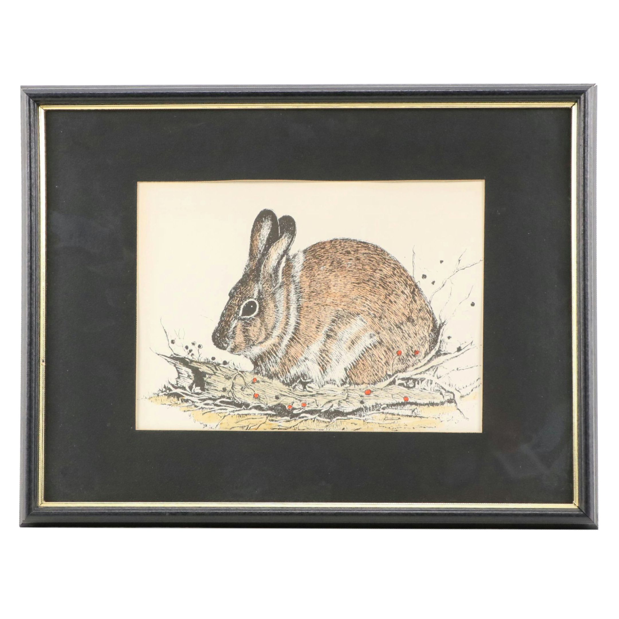 Hand-Colored Lithograph of Hare, Circa 1960