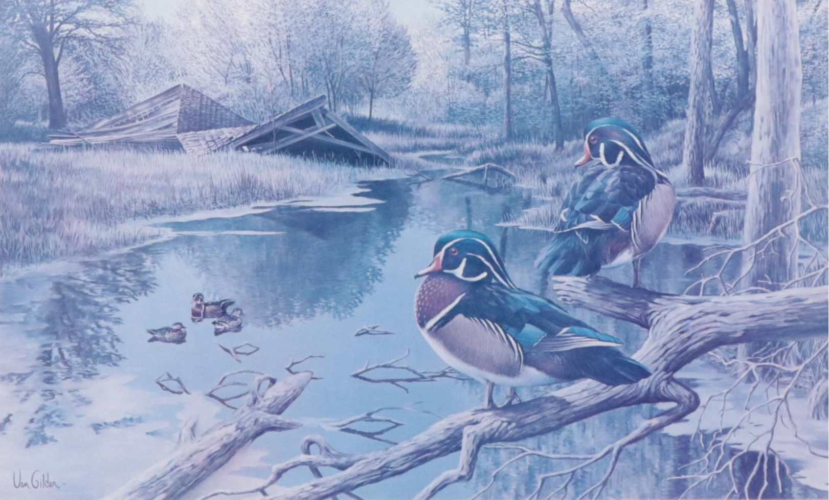 Ron Van Gilder Wildlife Offset Lithograph, Late 20th Century