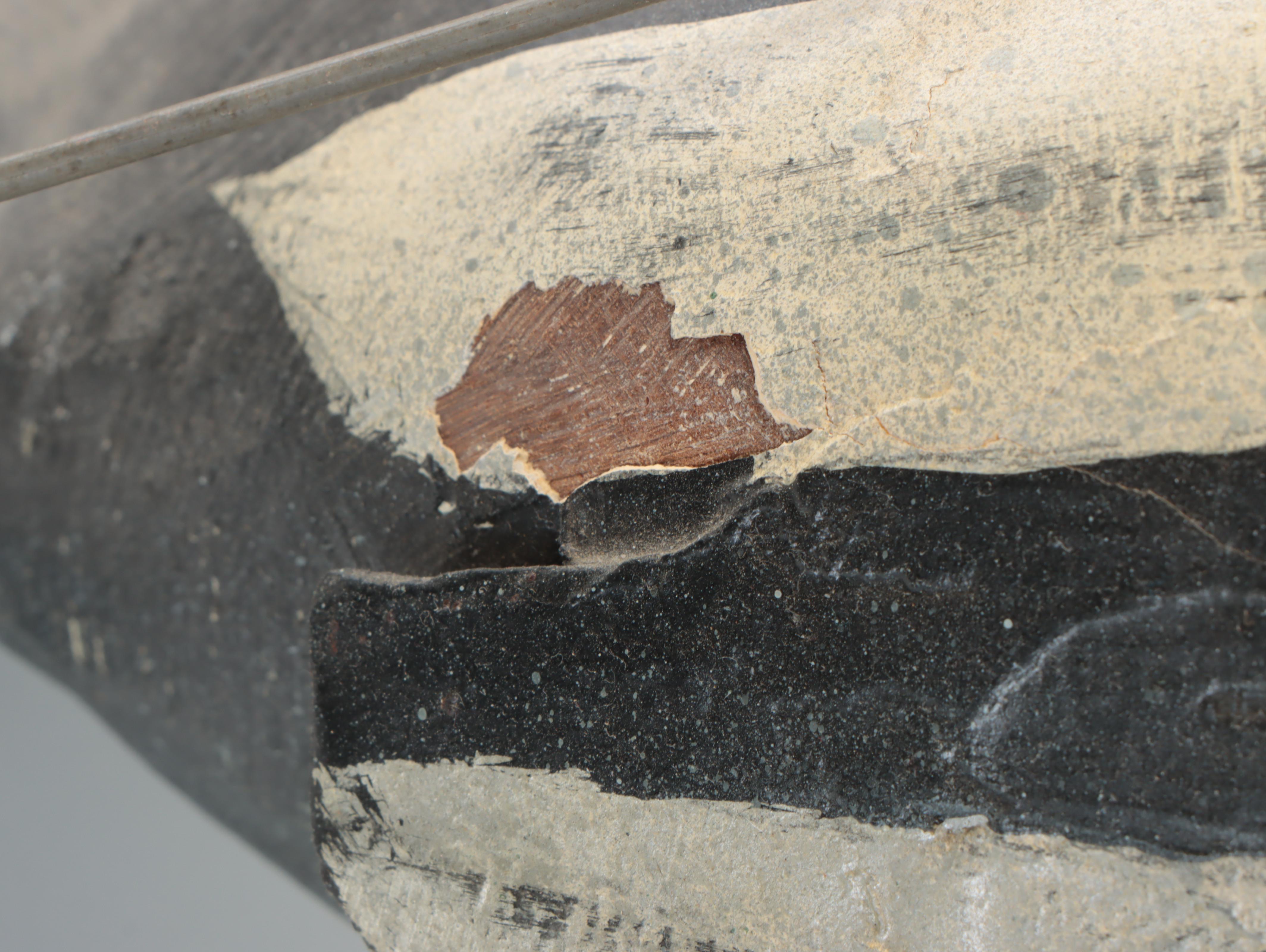 Snow Goose, Redhead Duck and Bufflehead Duck Flying Decoys