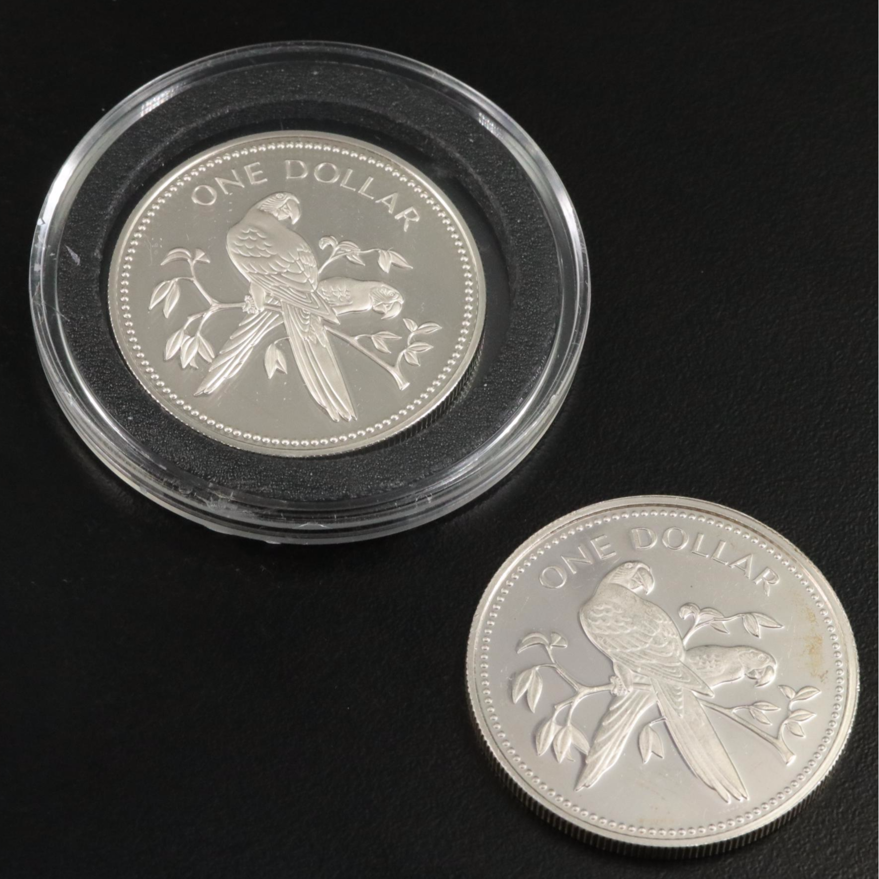 Collection of Four Belize One Dollar Sterling Silver Proofs