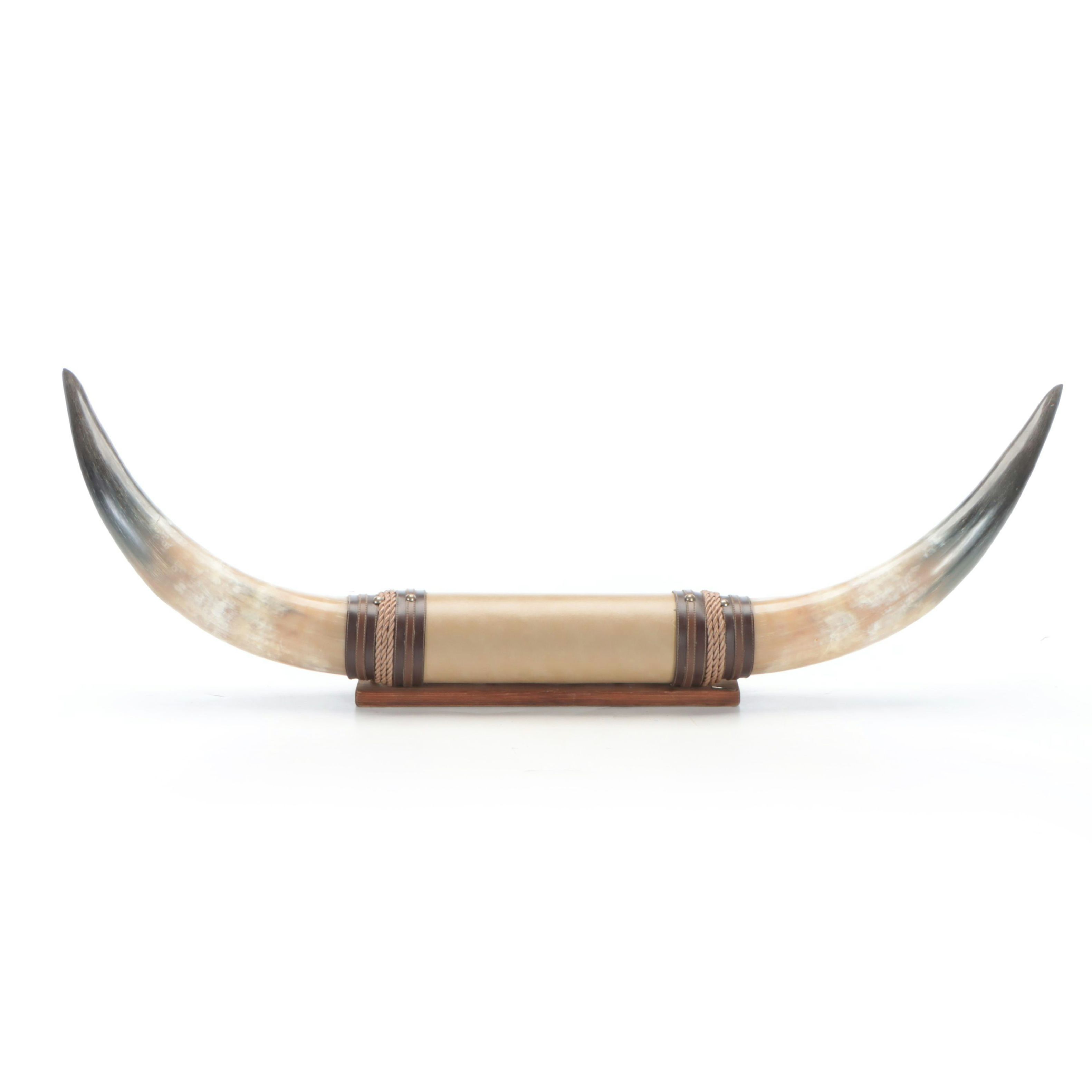 Western Style Wall Mounted Long Horns, Mid to Late 20th Century