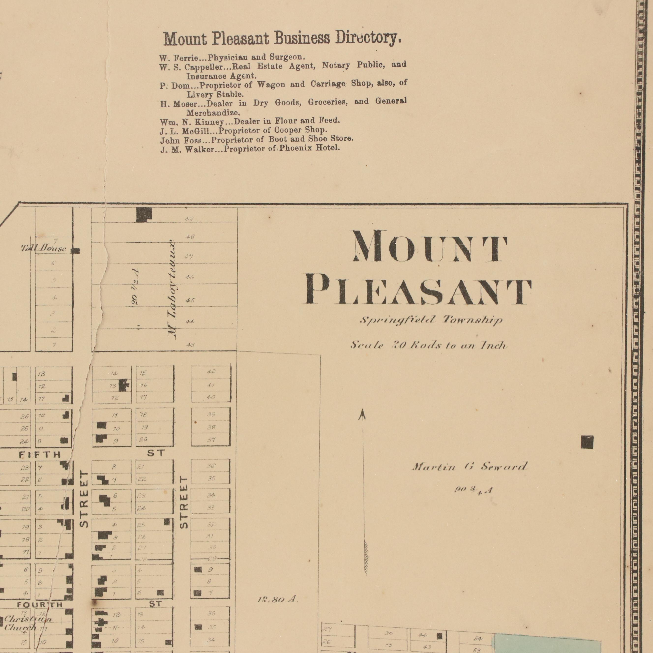 Map of Cincinnati Township "Symmes" and "Mount Pleasant," 1869