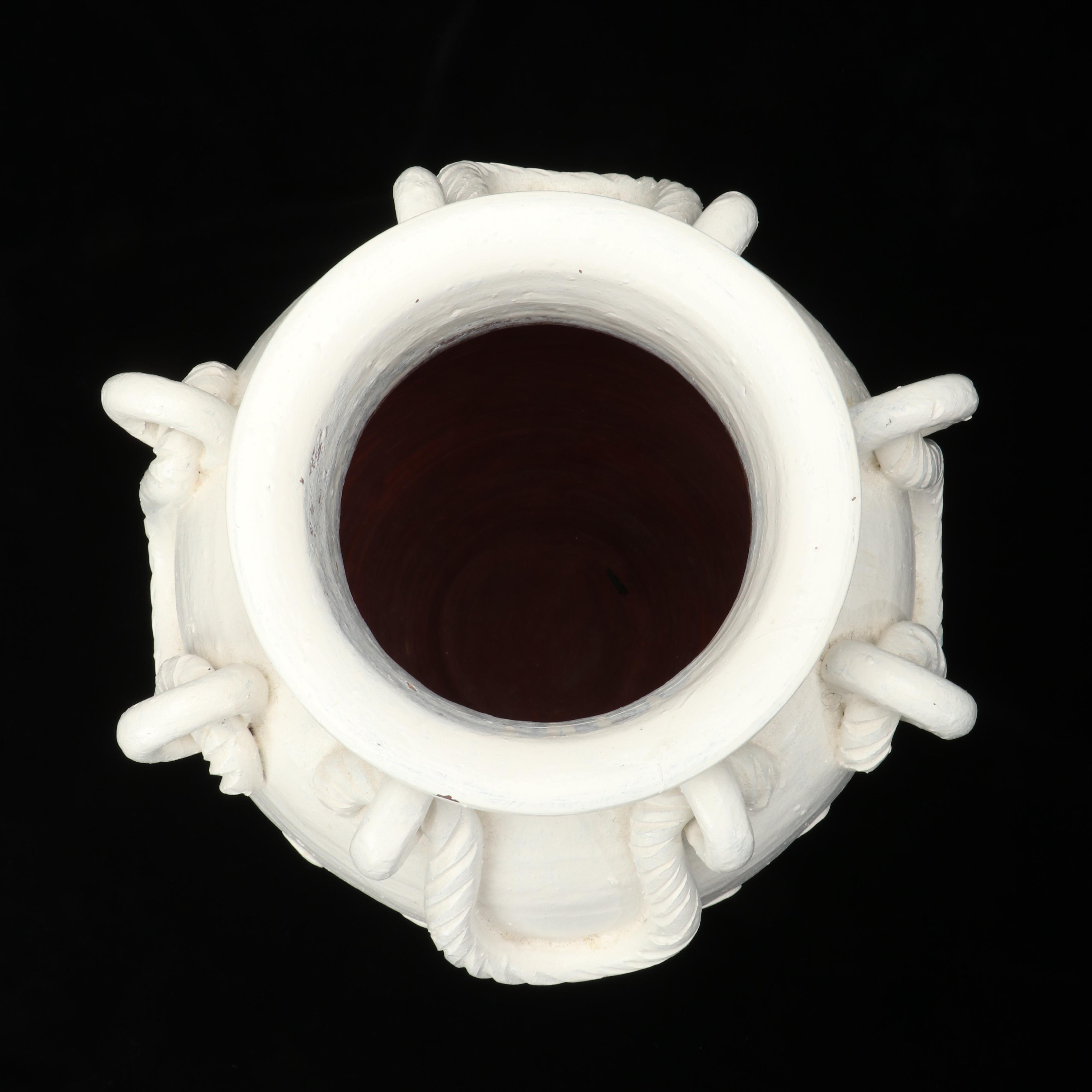 Chambered Nautilus Shell, Decorative Conch Shell, and Pottery Urn