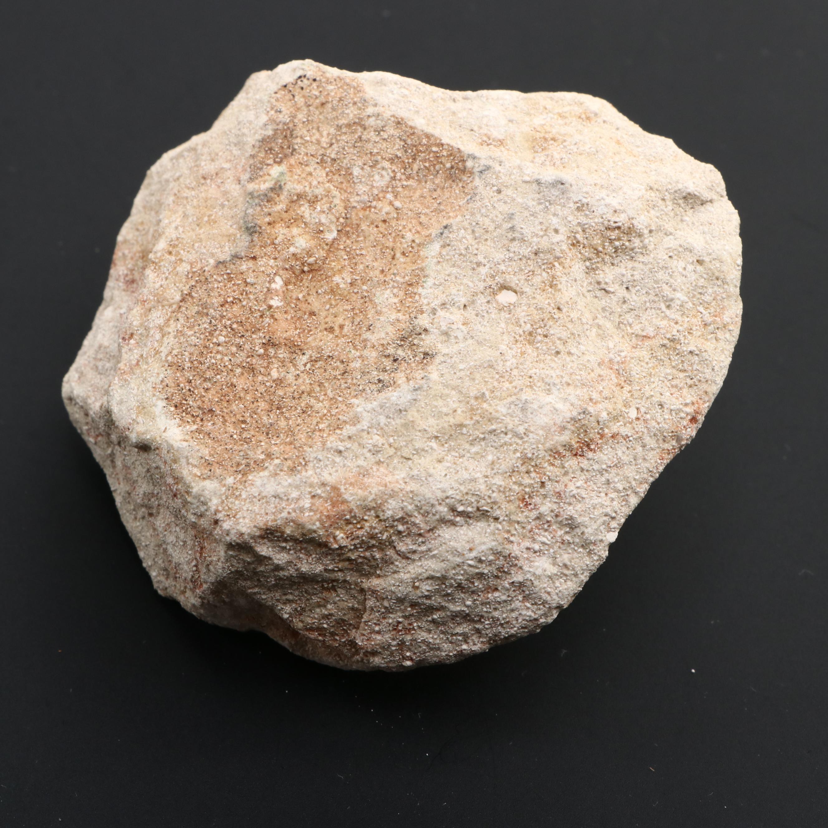 Fossilized Dinosaur Teeth and Fossilized Shark Tooth in Matrix