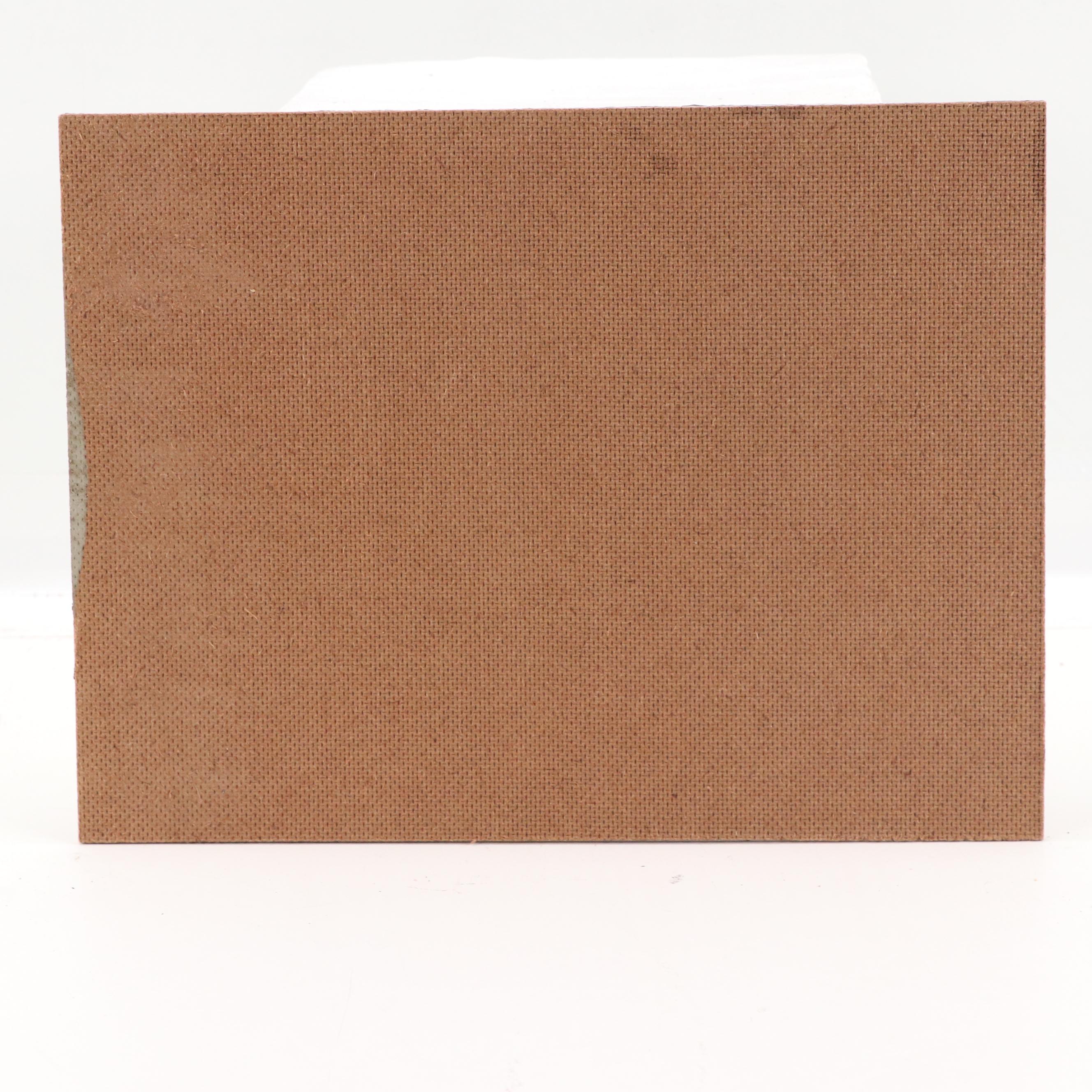 Y. Wang Still Life Oil Painting of Pineapple and Coconut, 2023