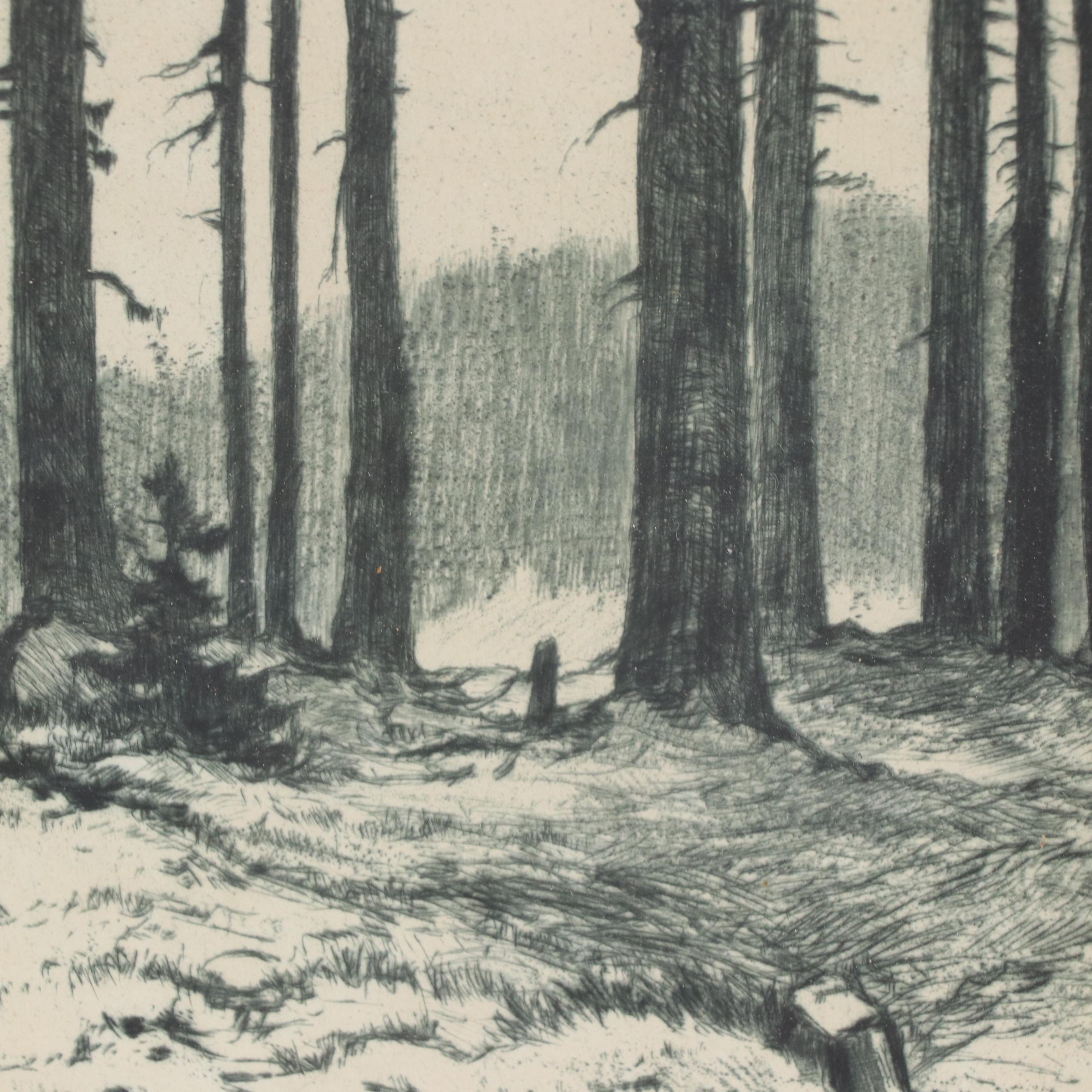 Etching of Landscape