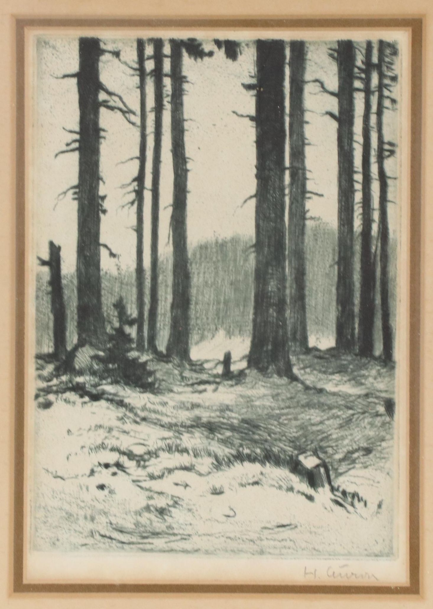 Etching of Landscape