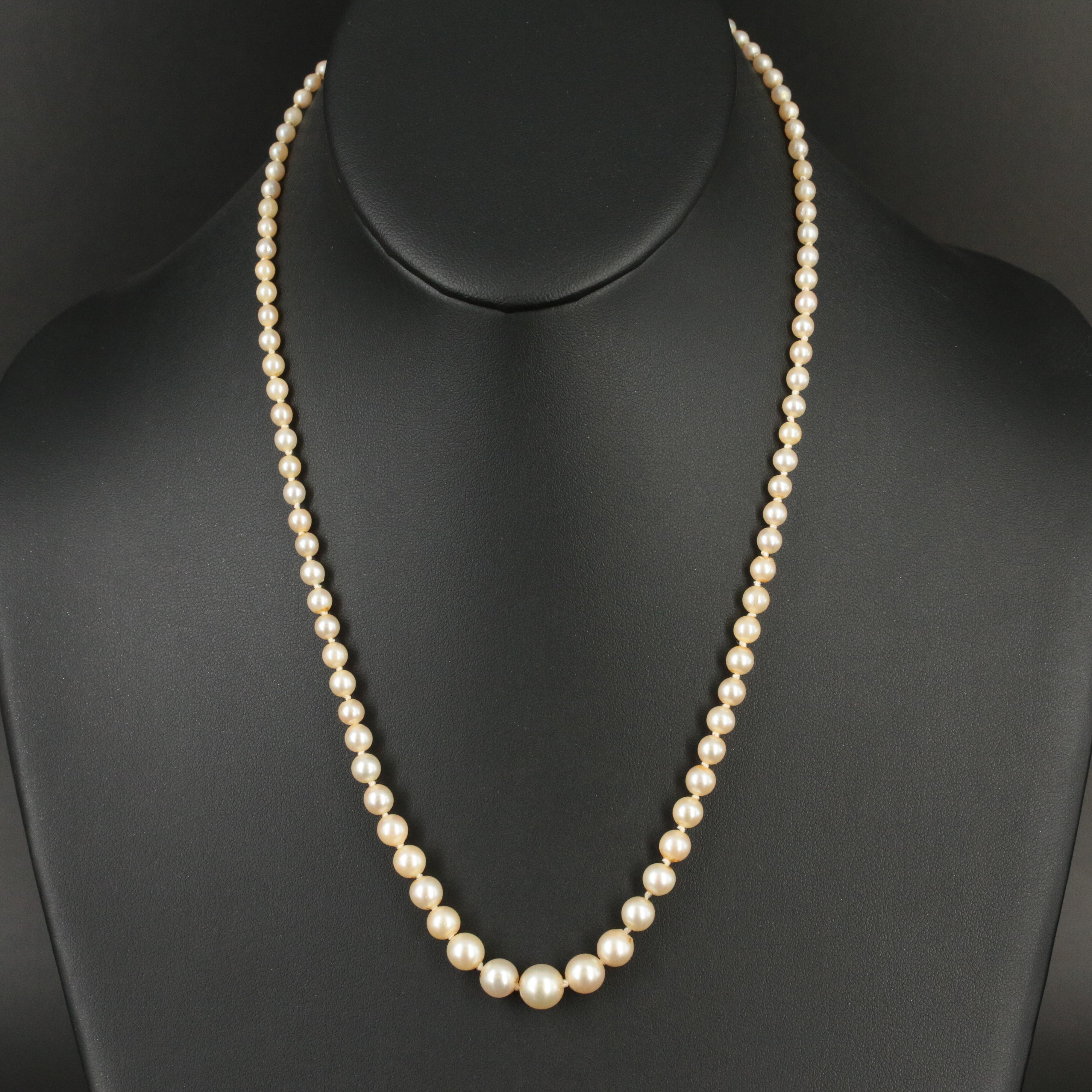 Mikimoto Graduated Pearl Necklace with Sterling Clasp Antique