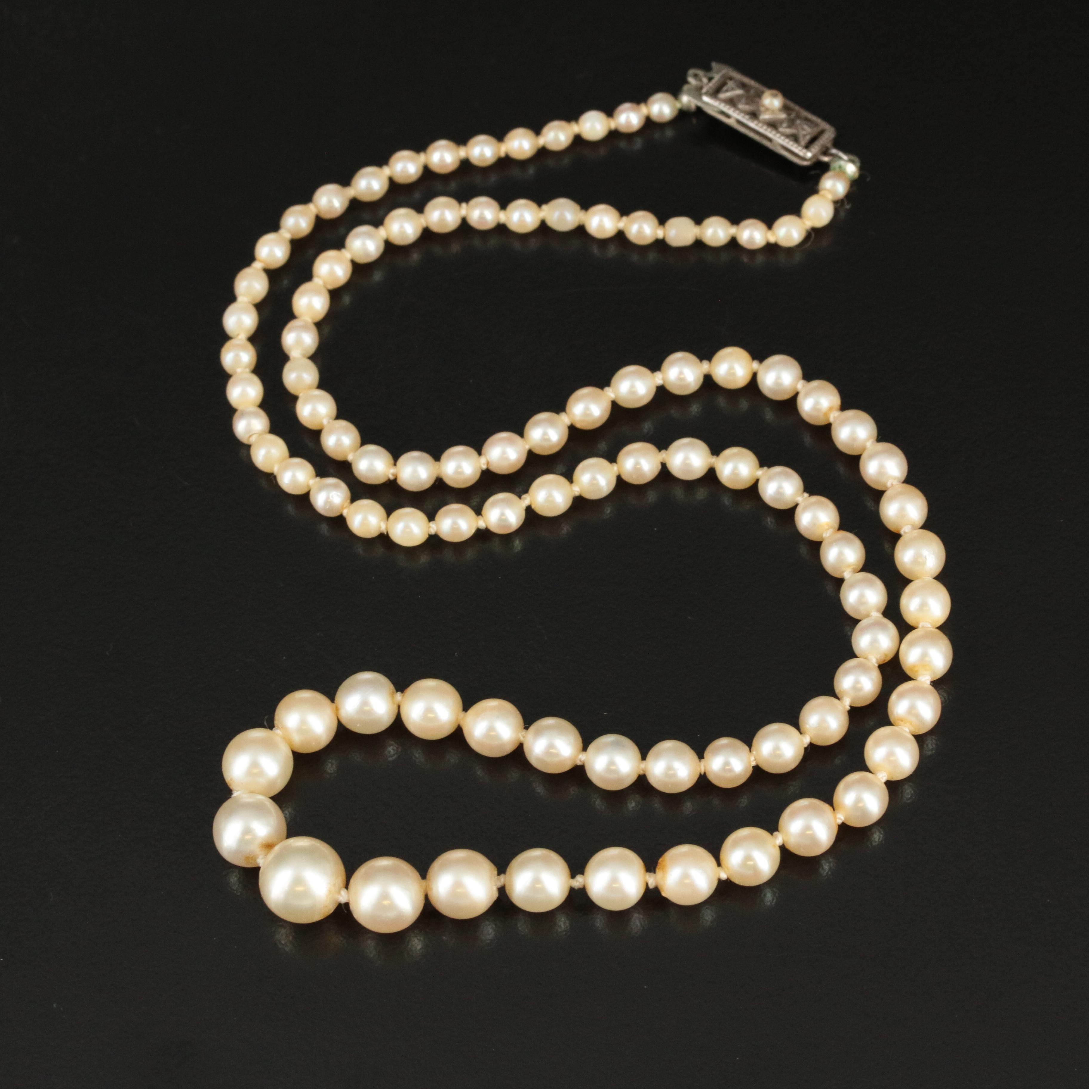 Mikimoto Graduated Pearl Necklace with Sterling Clasp Antique