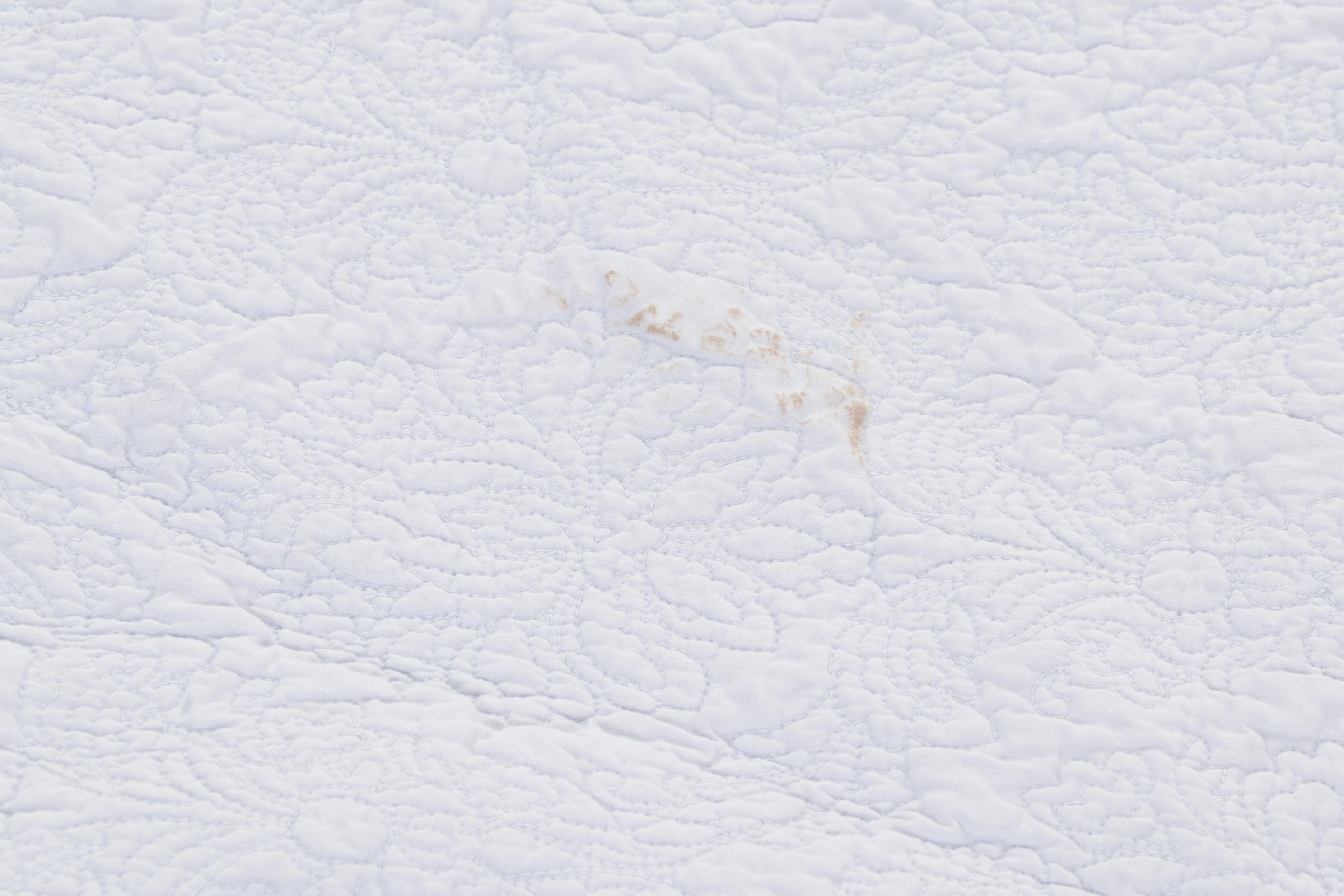 Martha Stewart Stitched Cotton and Other White Matelassé Coverlets