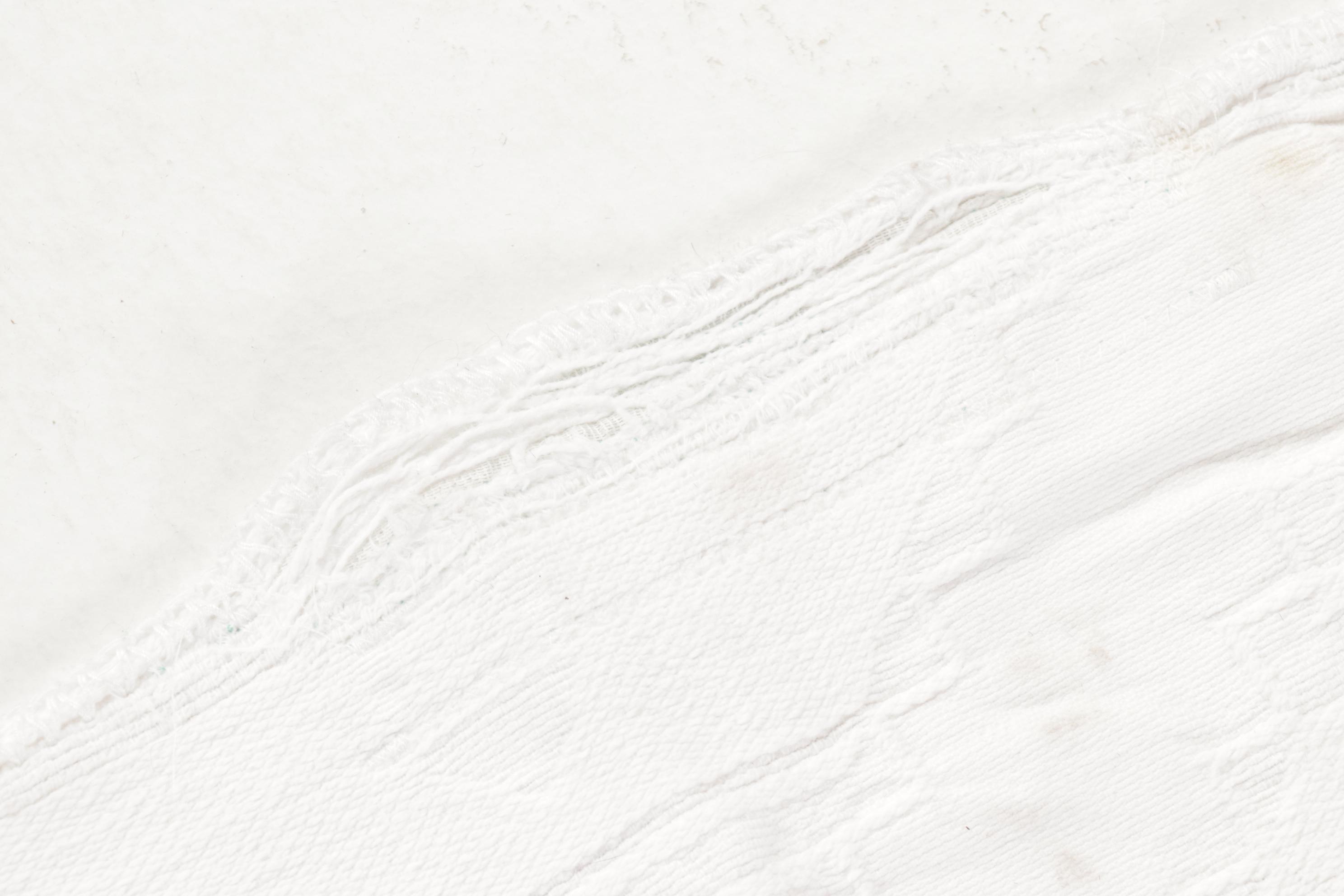 Martha Stewart Stitched Cotton and Other White Matelassé Coverlets