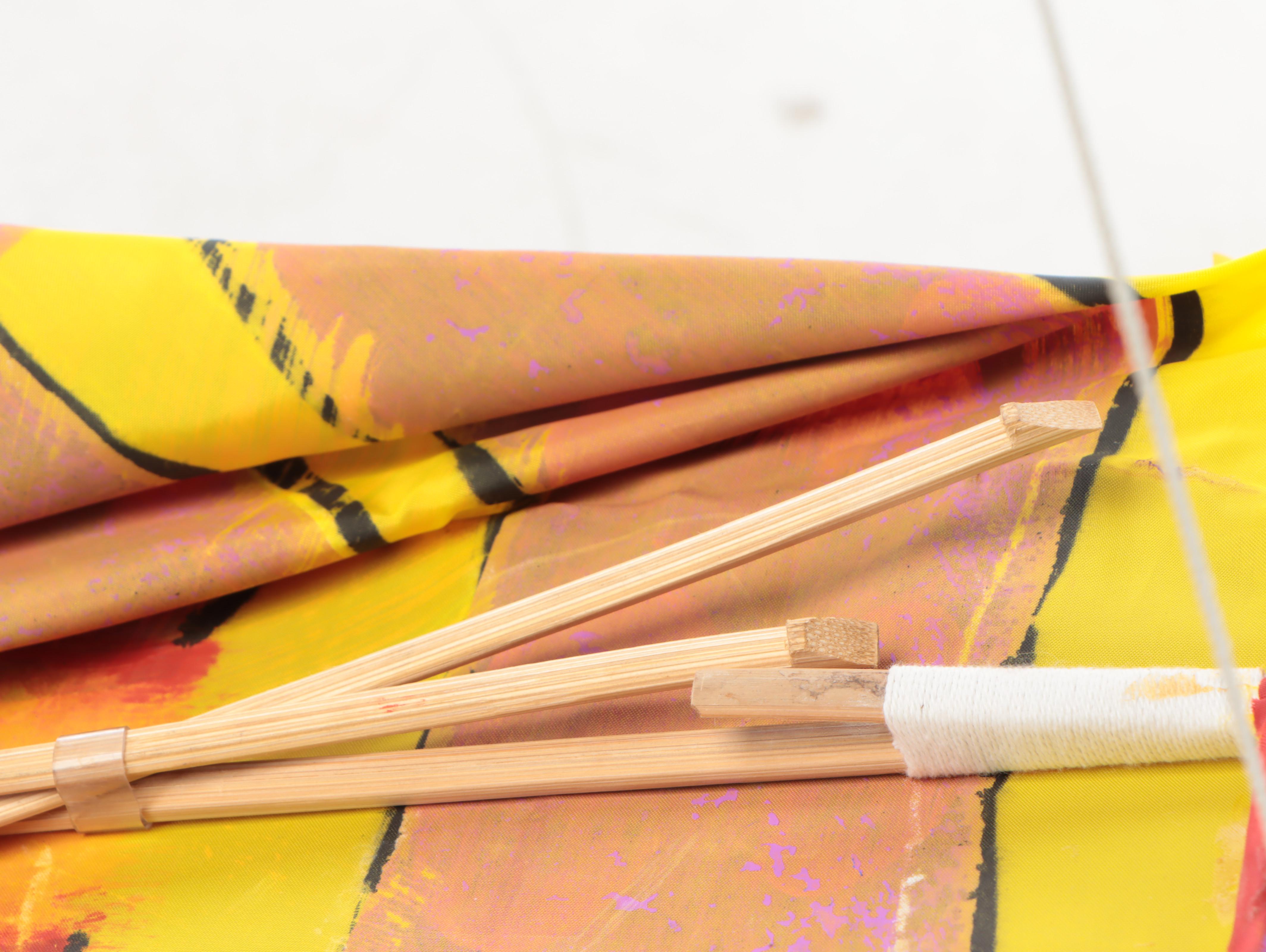 Fantasy Kites Handmade Dragon Motif Kite