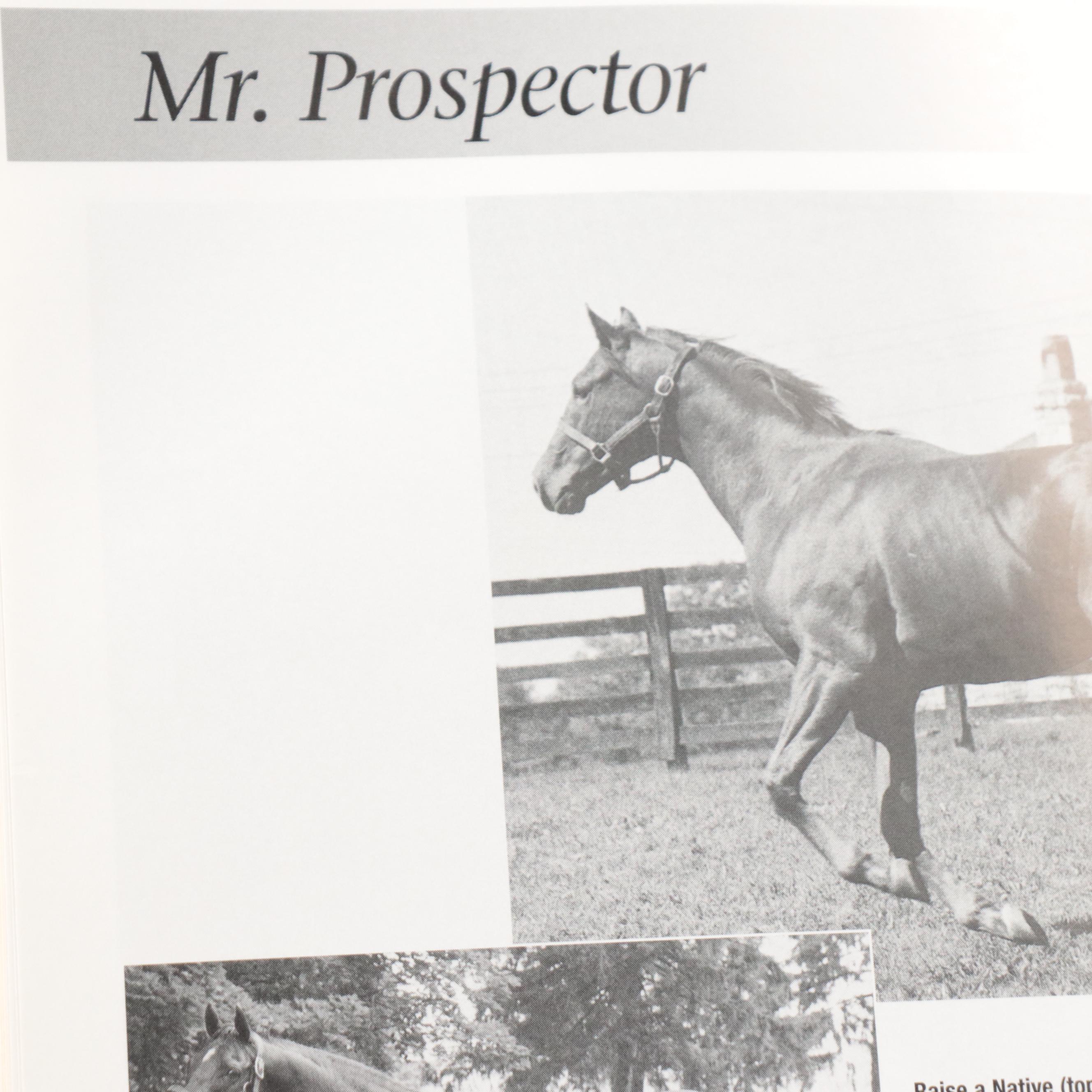 Signed First Edition "Dynasties" by Edward Bowen with Other Equestrian Books