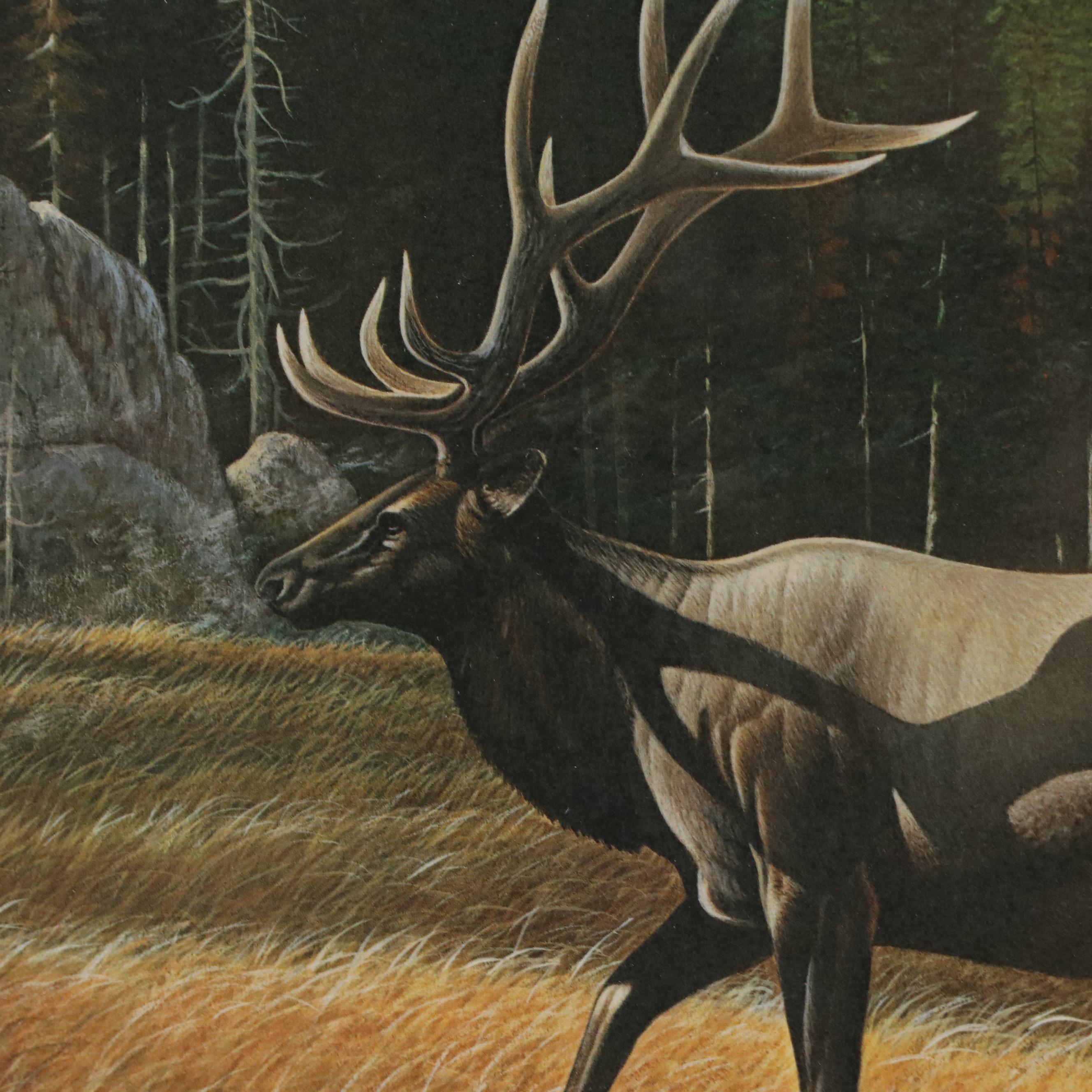 Richard Evans Younger Offset Lithograph "American Elk"
