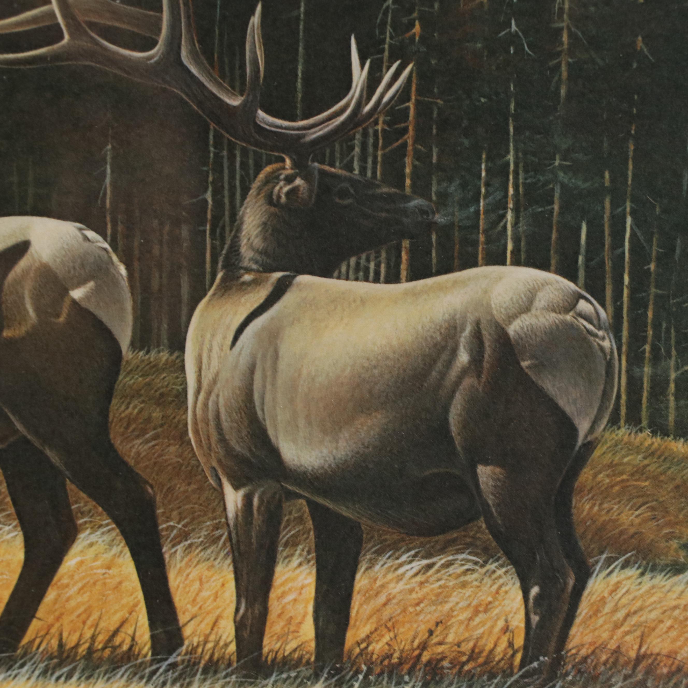 Richard Evans Younger Offset Lithograph "American Elk"