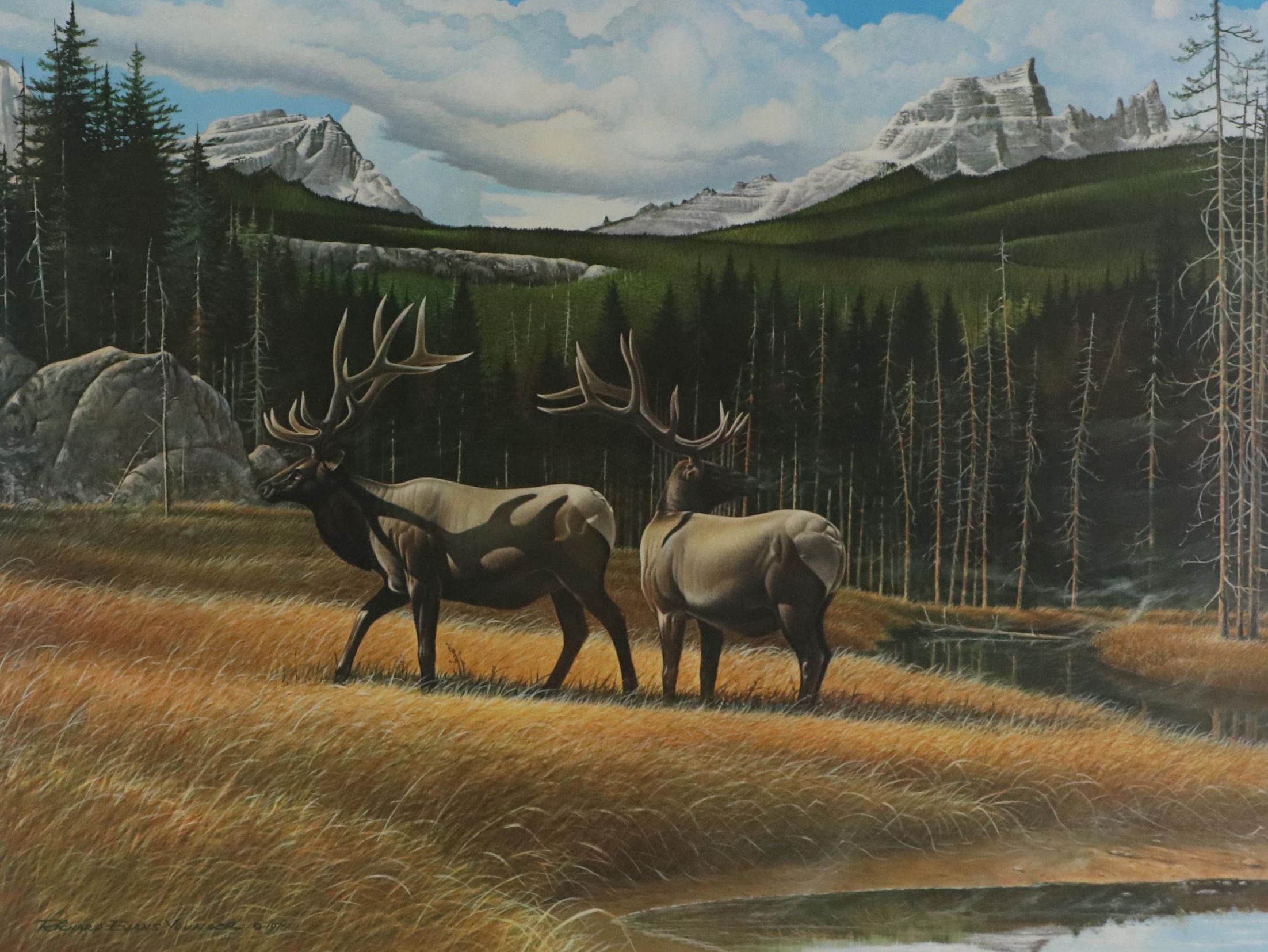 Richard Evans Younger Offset Lithograph "American Elk"