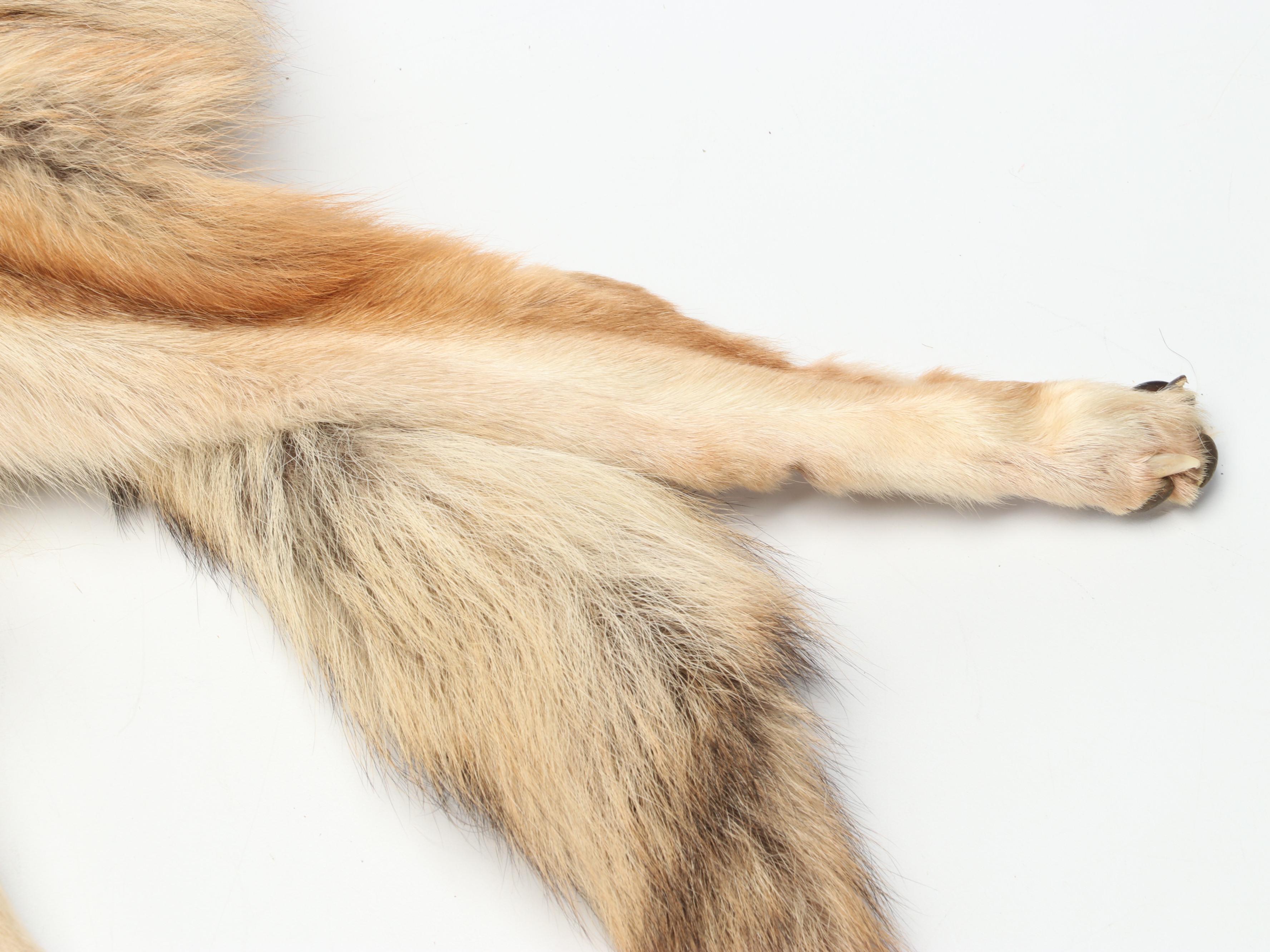 Coyote Full Body Pelts