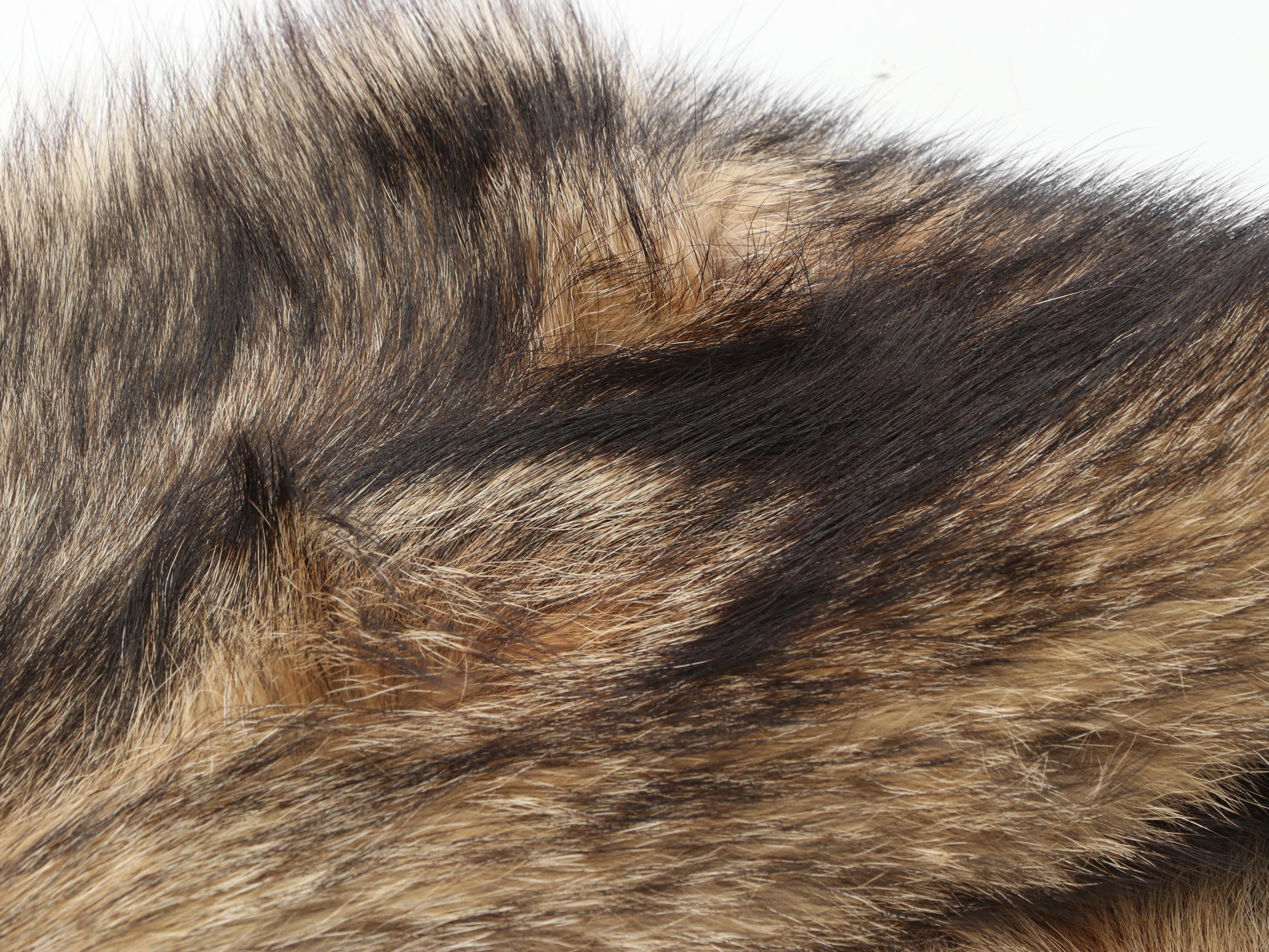 Coyote Full Body Pelts