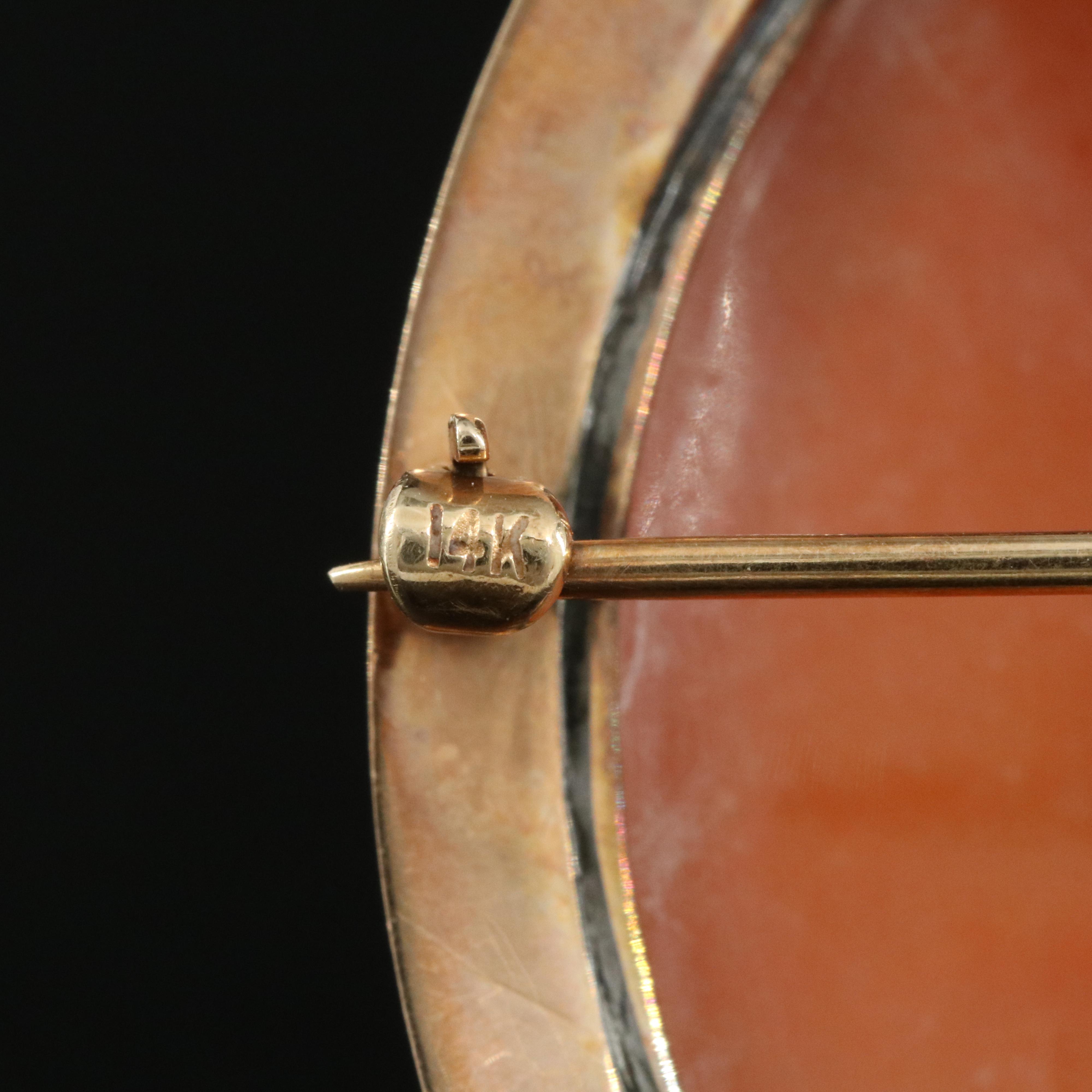 14K Leda and the Swan Shell Cameo Converter Brooch