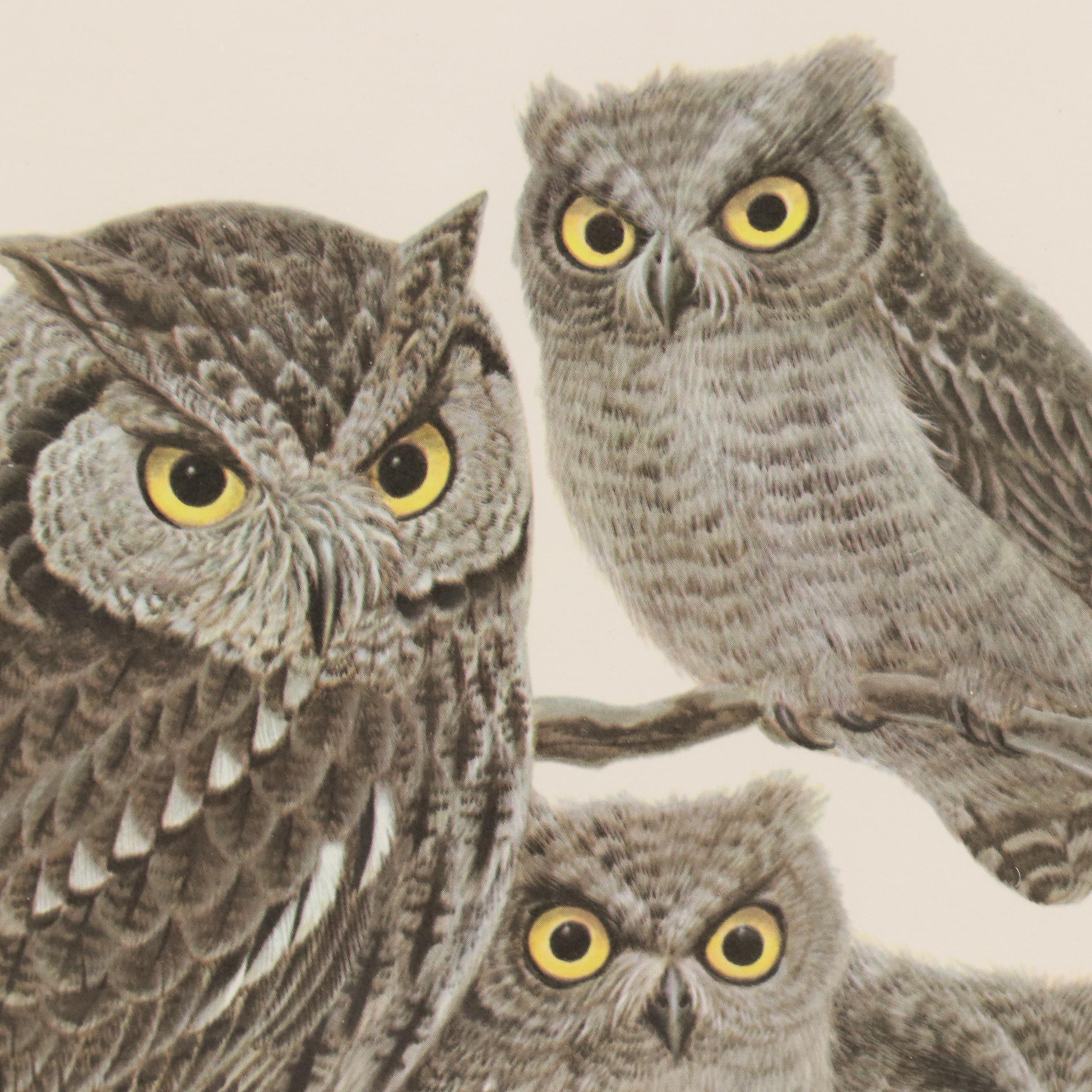 John Ruthven Offset Lithograph "Screech Owl"