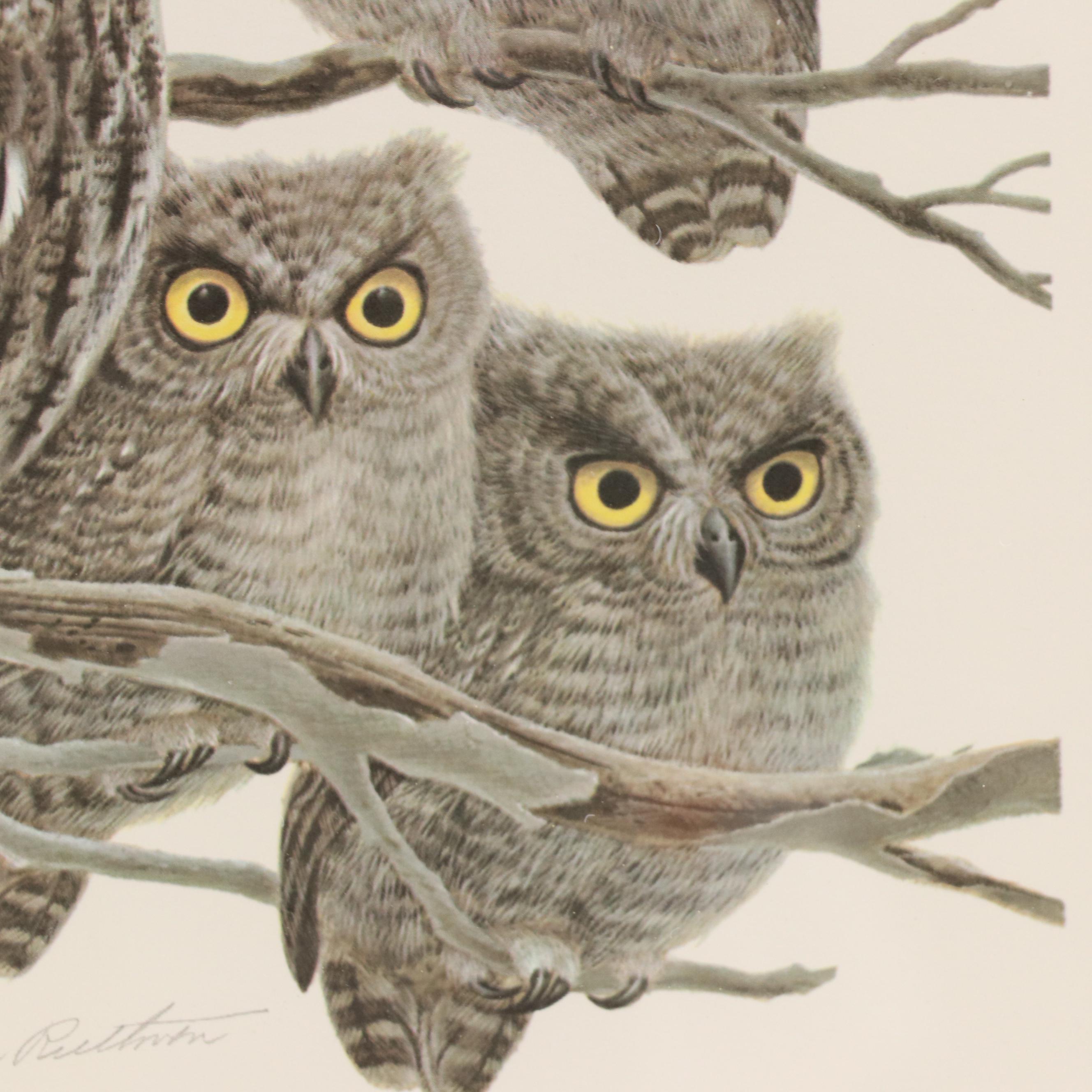John Ruthven Offset Lithograph "Screech Owl"