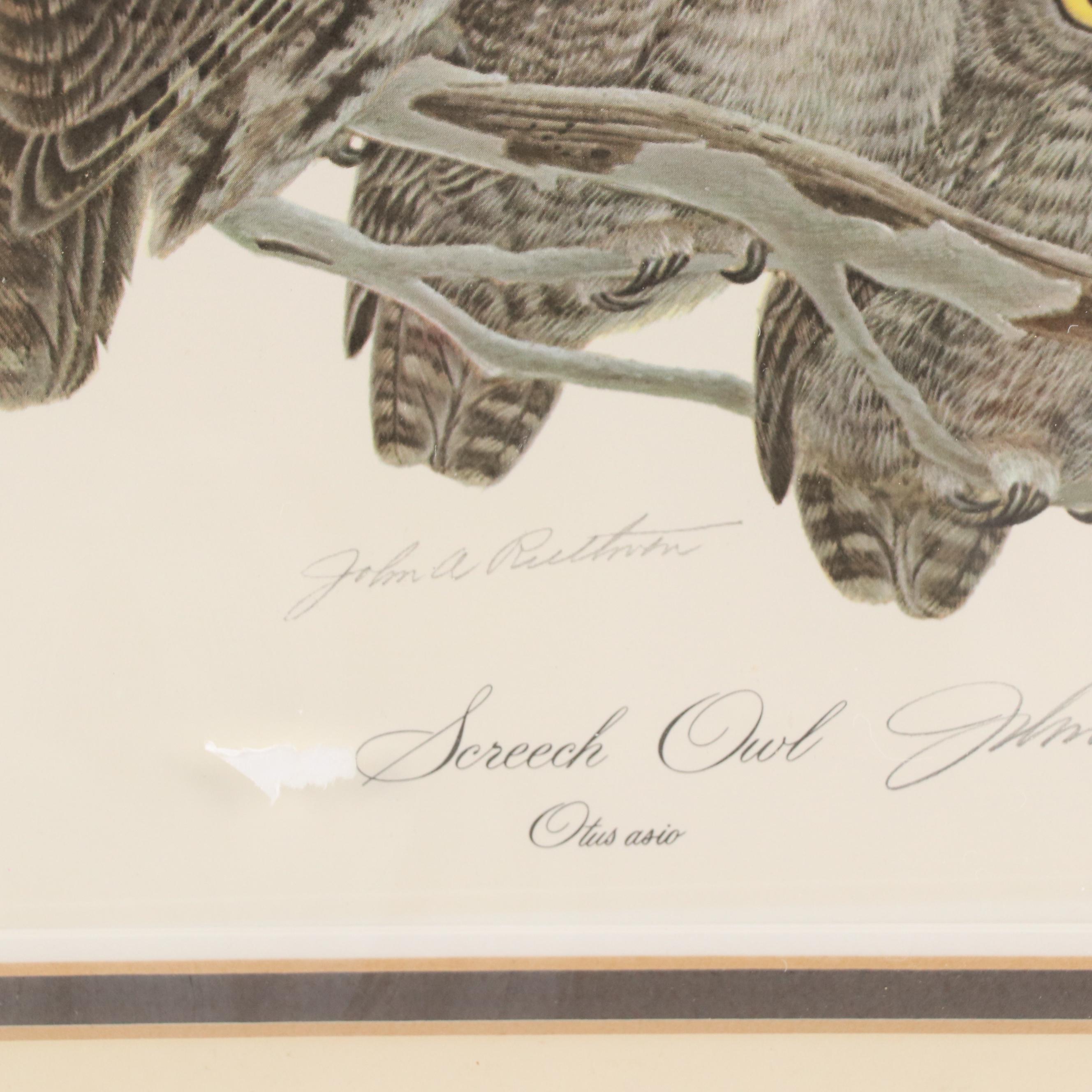 John Ruthven Offset Lithograph "Screech Owl"