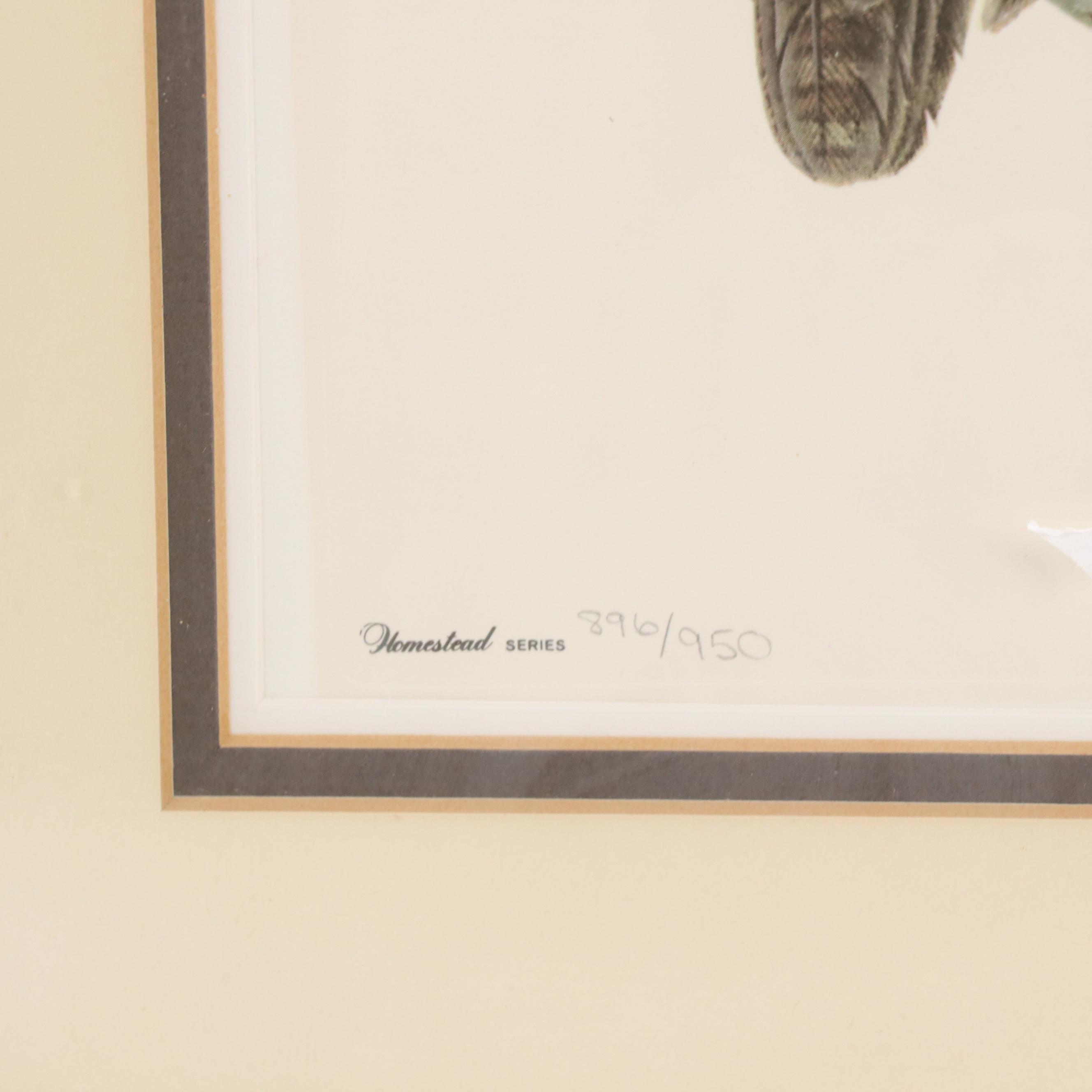 John Ruthven Offset Lithograph "Screech Owl"