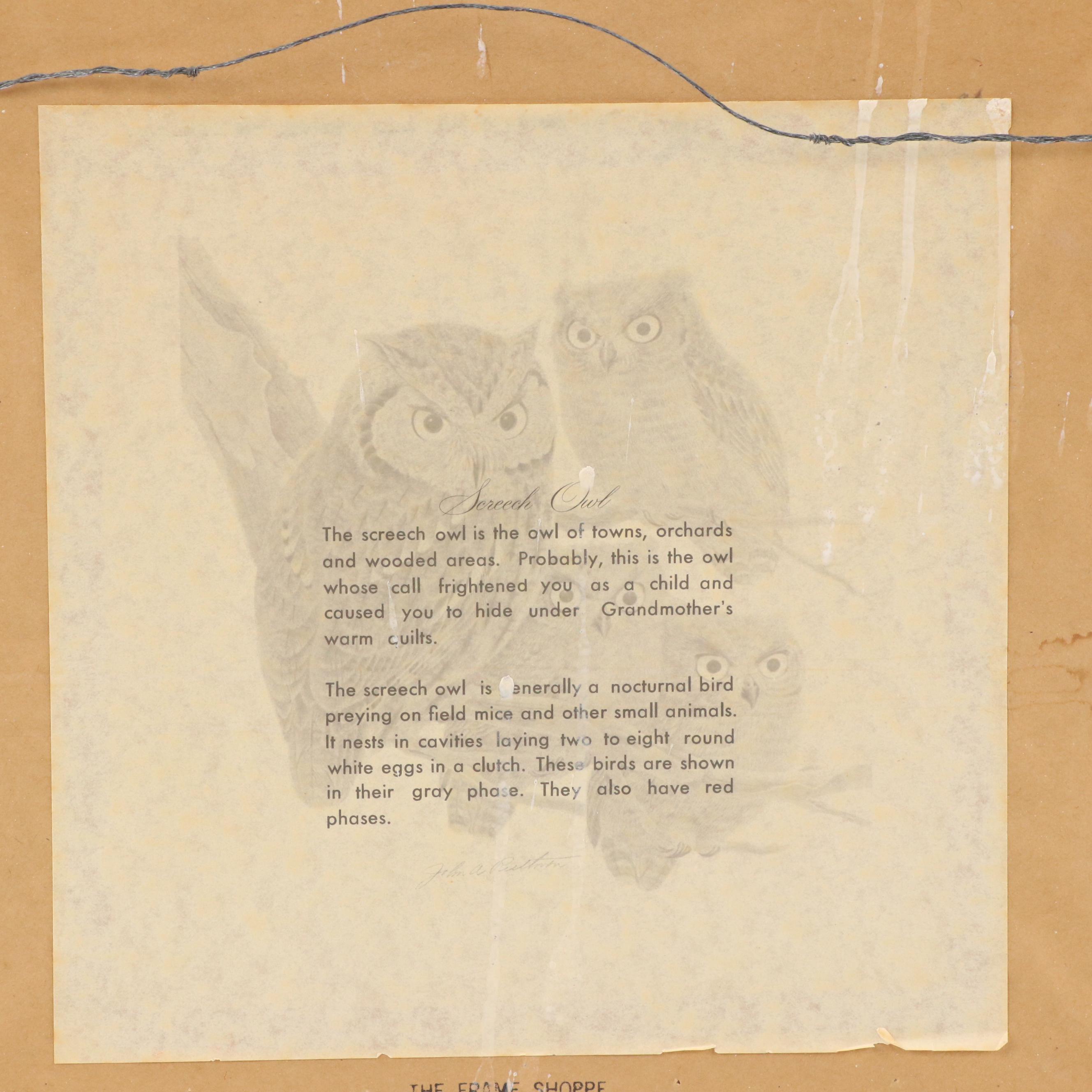 John Ruthven Offset Lithograph "Screech Owl"
