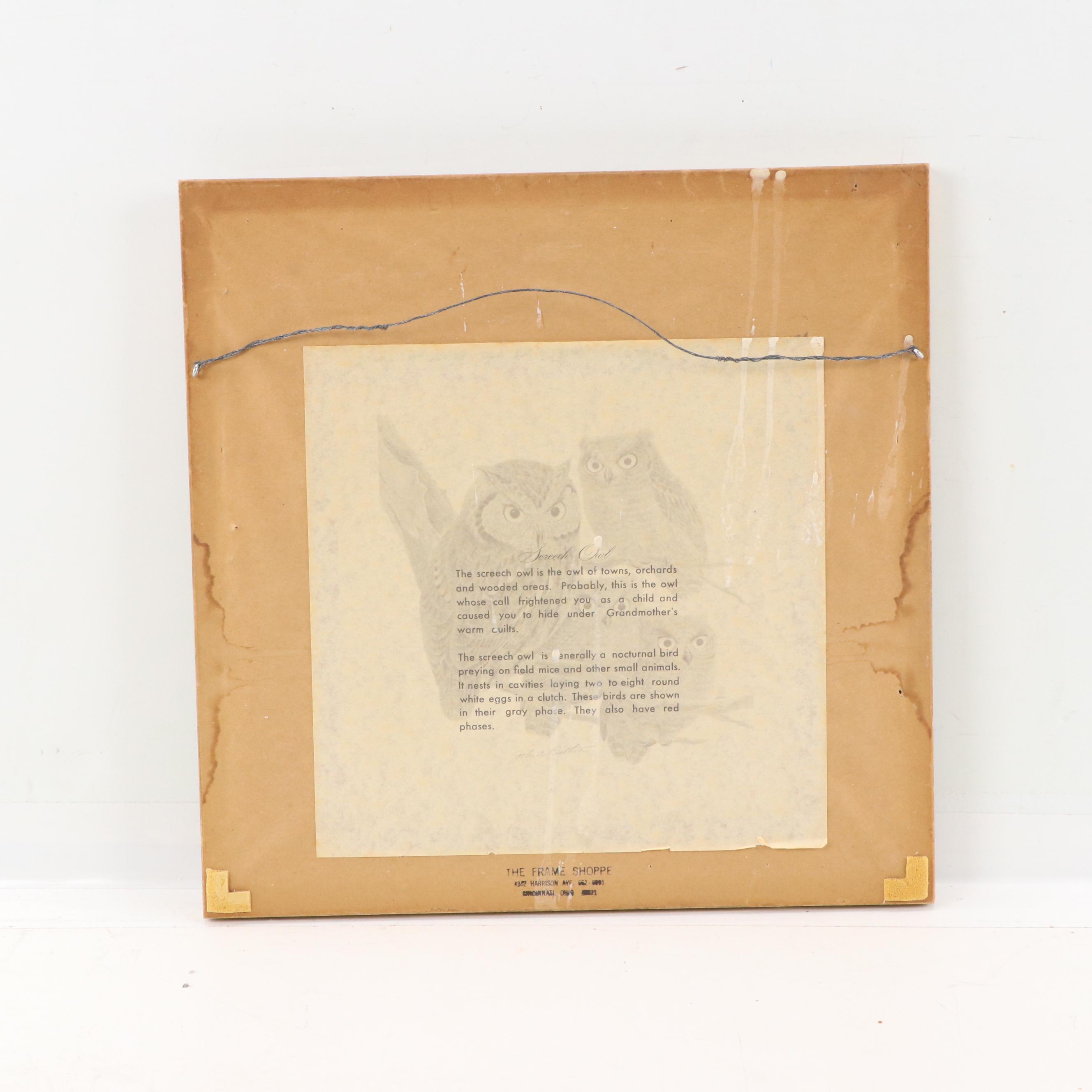 John Ruthven Offset Lithograph "Screech Owl"