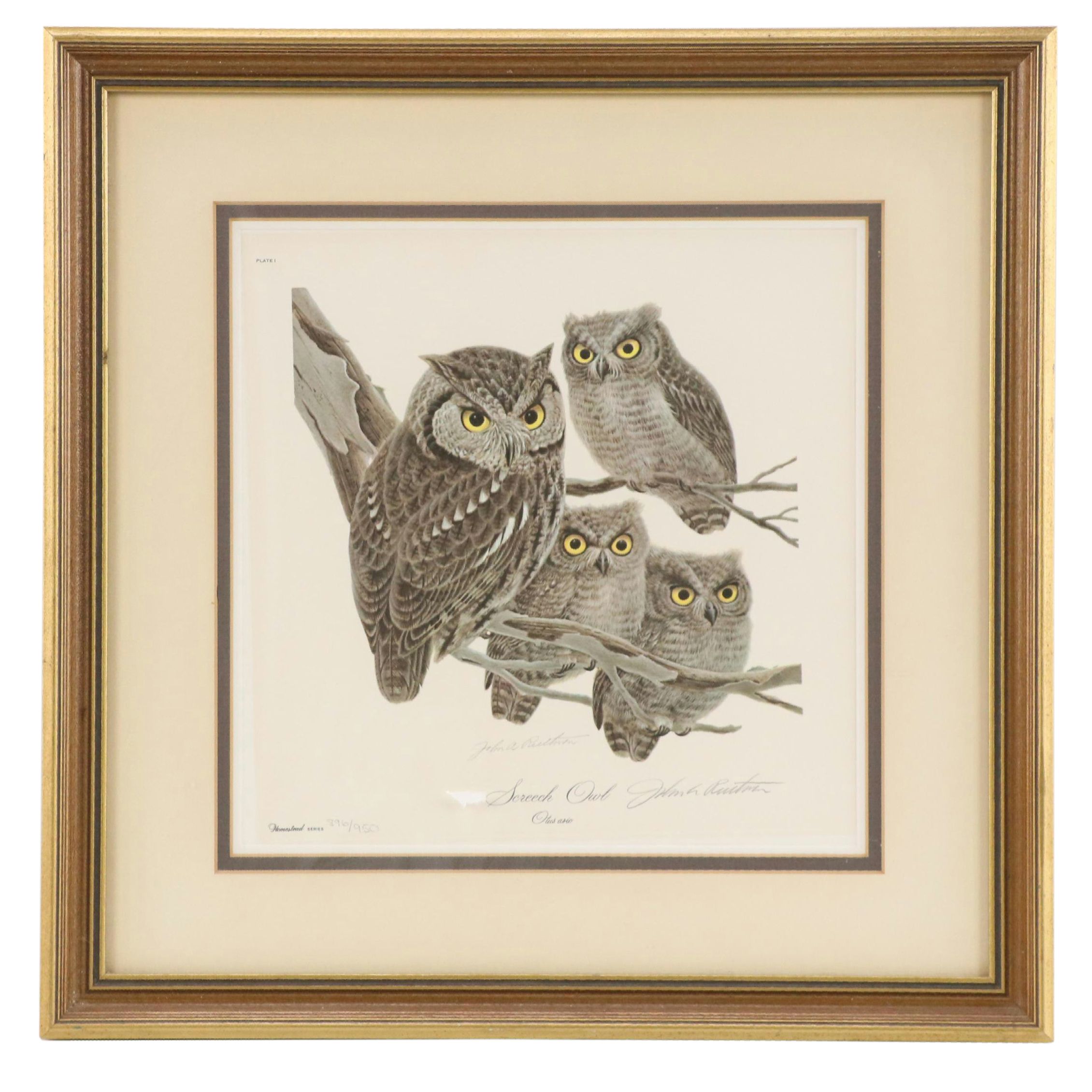 John Ruthven Offset Lithograph "Screech Owl"
