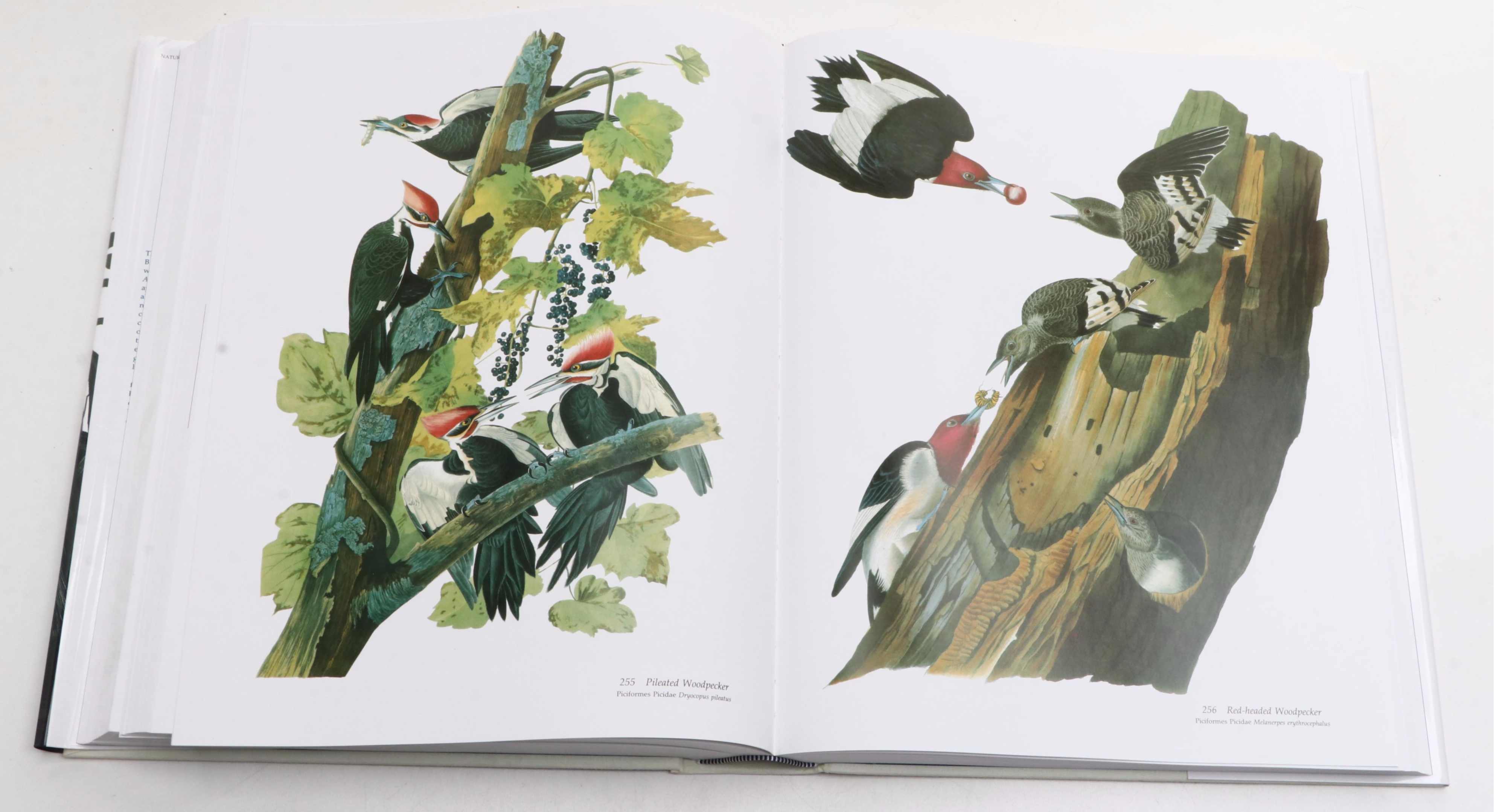 "Audubon's Birds of America" Baby Elephant Folio by the Petersons, 2003