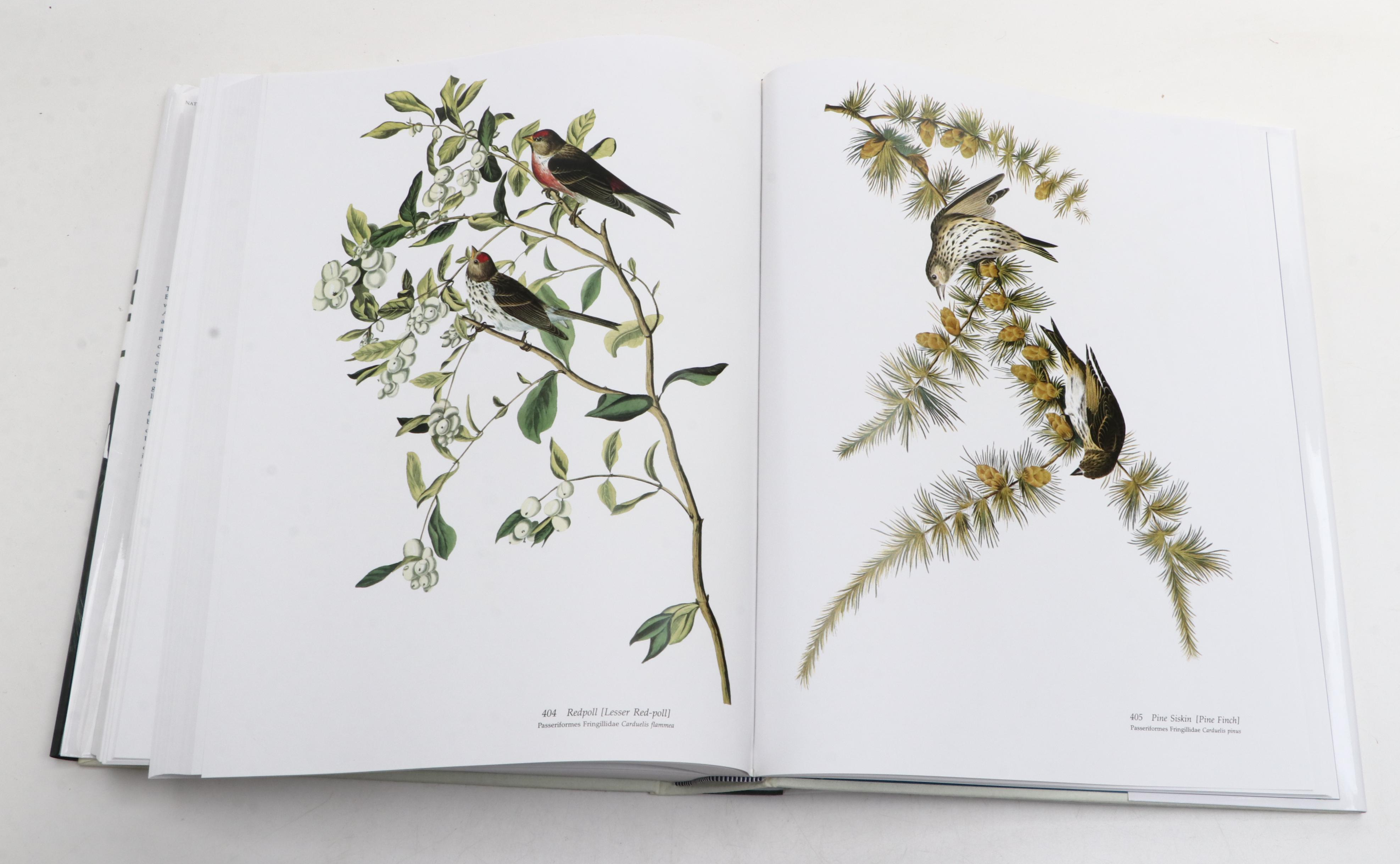 "Audubon's Birds of America" Baby Elephant Folio by the Petersons, 2003