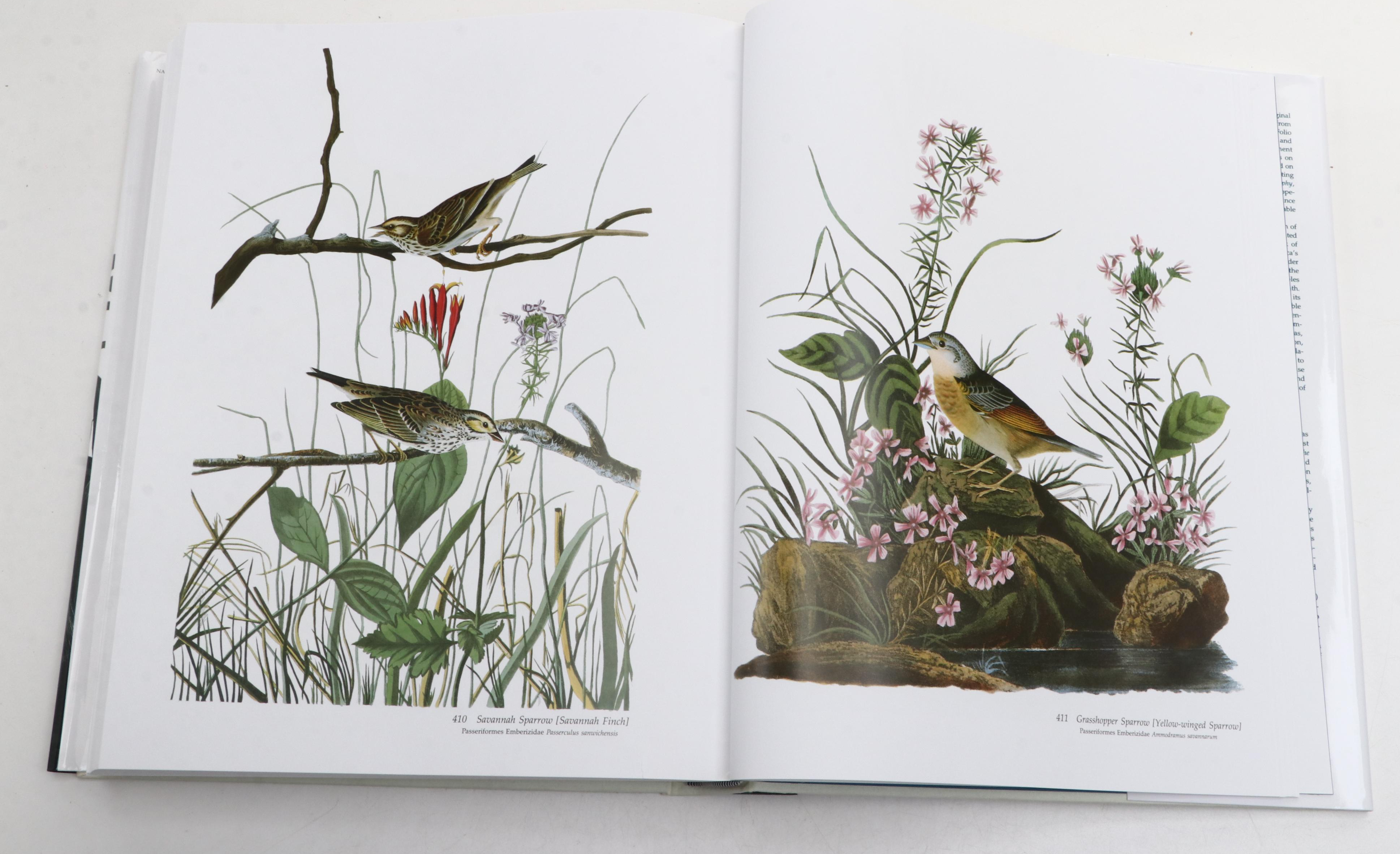 "Audubon's Birds of America" Baby Elephant Folio by the Petersons, 2003