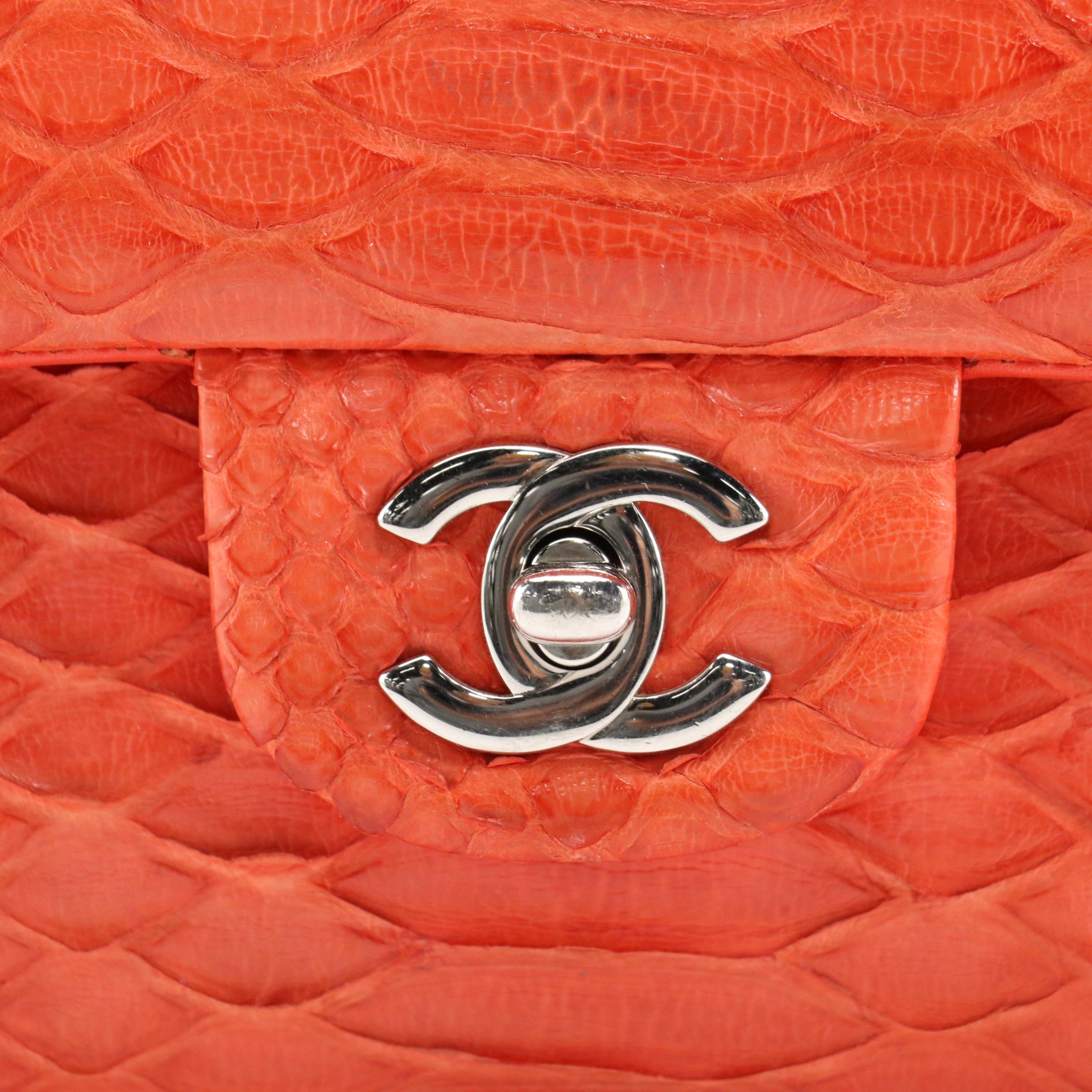 Chanel CC Classic Double Flap Medium Python Bag