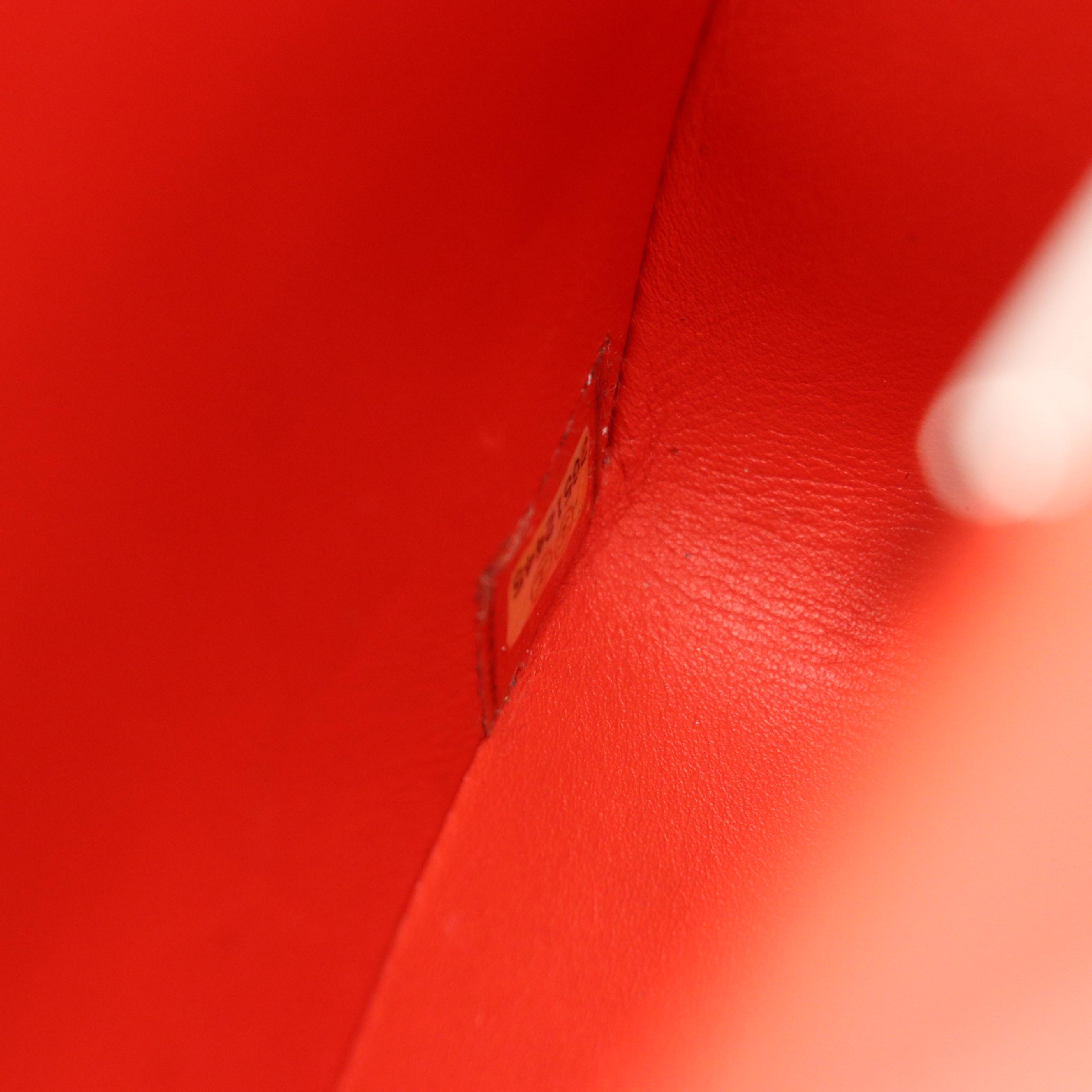 Chanel CC Classic Double Flap Medium Python Bag