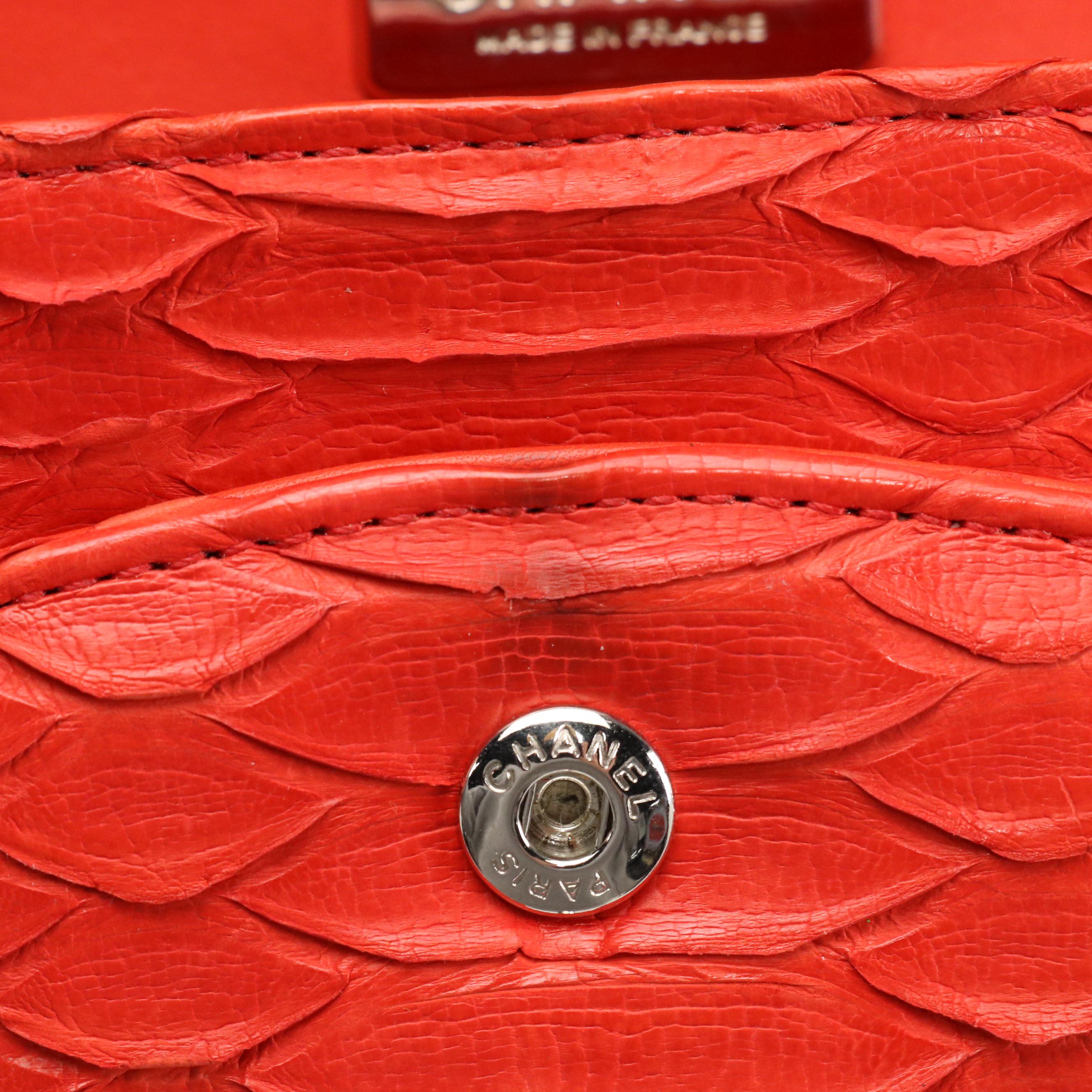 Chanel CC Classic Double Flap Medium Python Bag