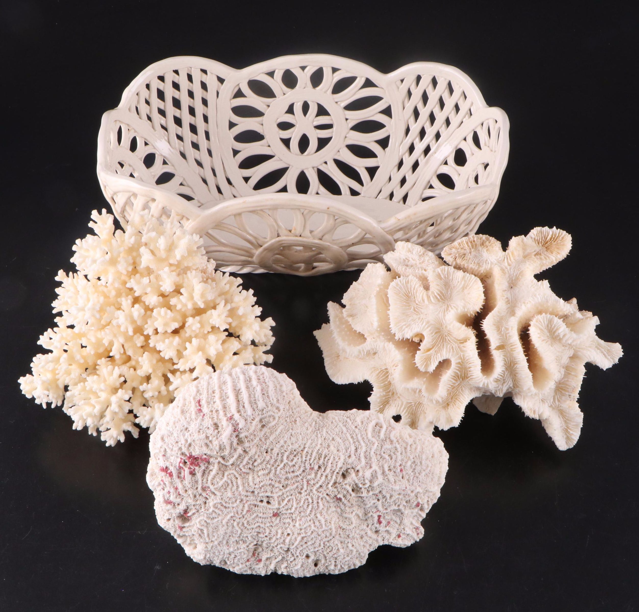 Fossil Staghorn Coral, Fossil Brain Coral and Portuguese Creamware Pottery Bowl