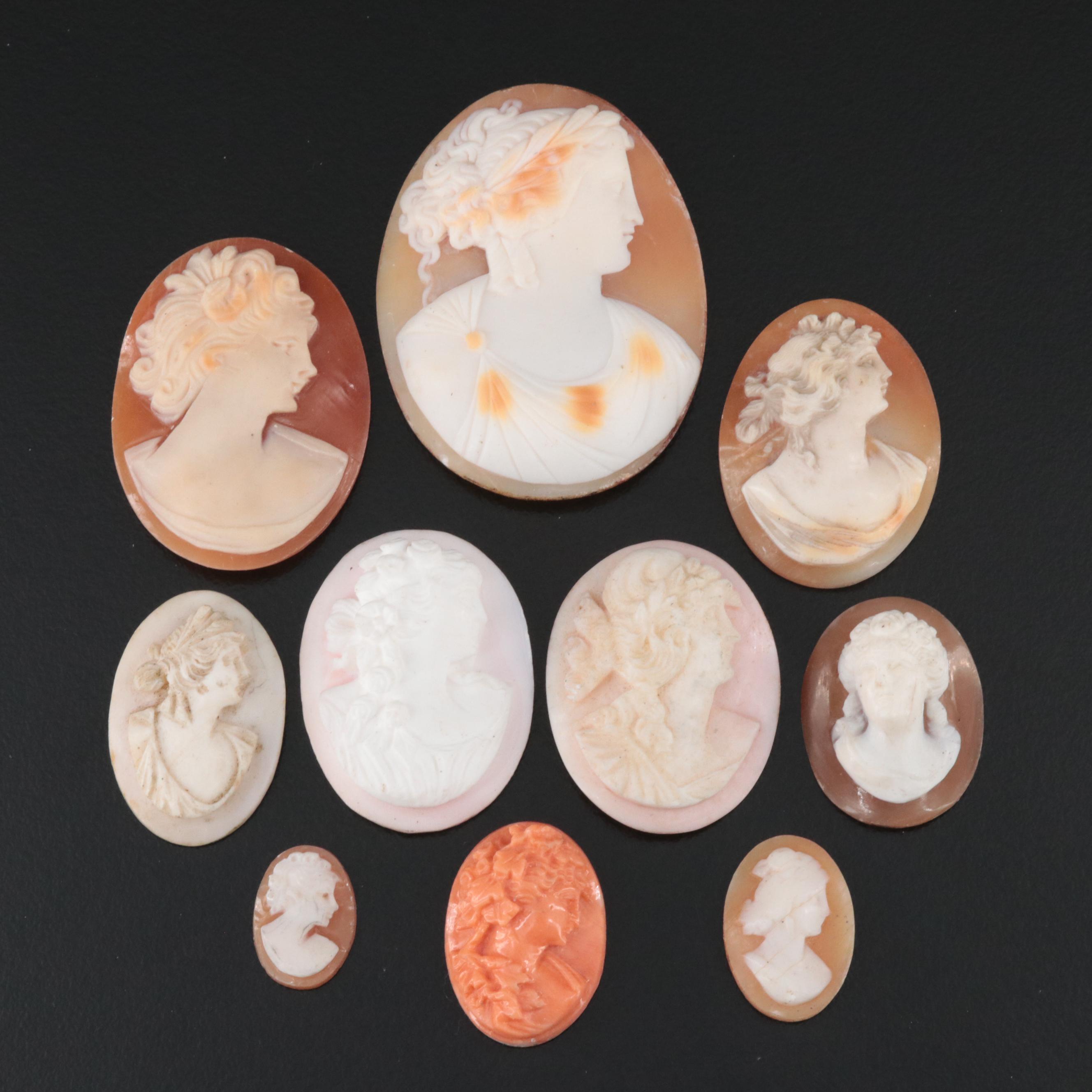 Loose Antique and Vintage Shell and Coral Cameo Lot